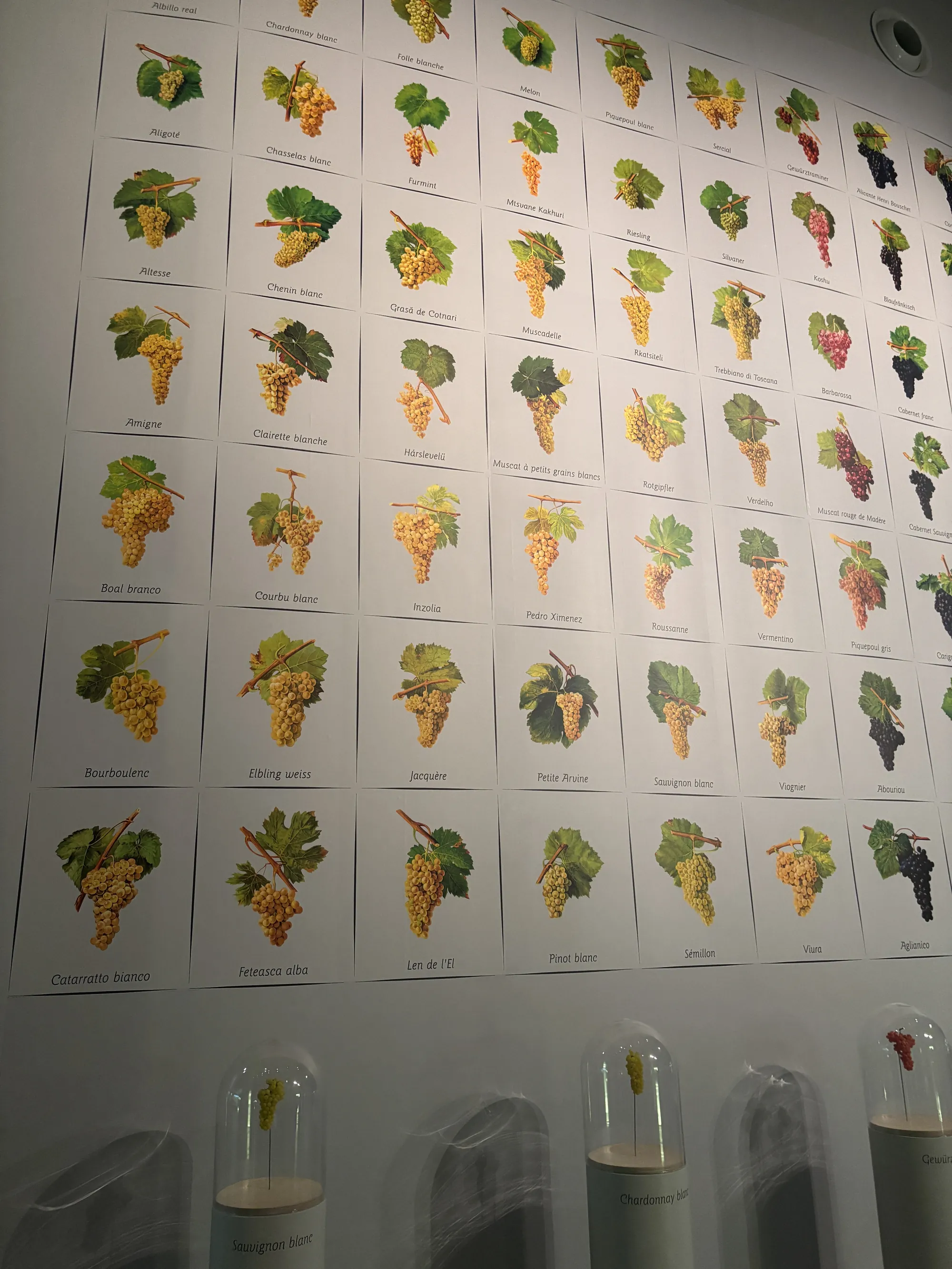 Photographie de Bordeaux - 2