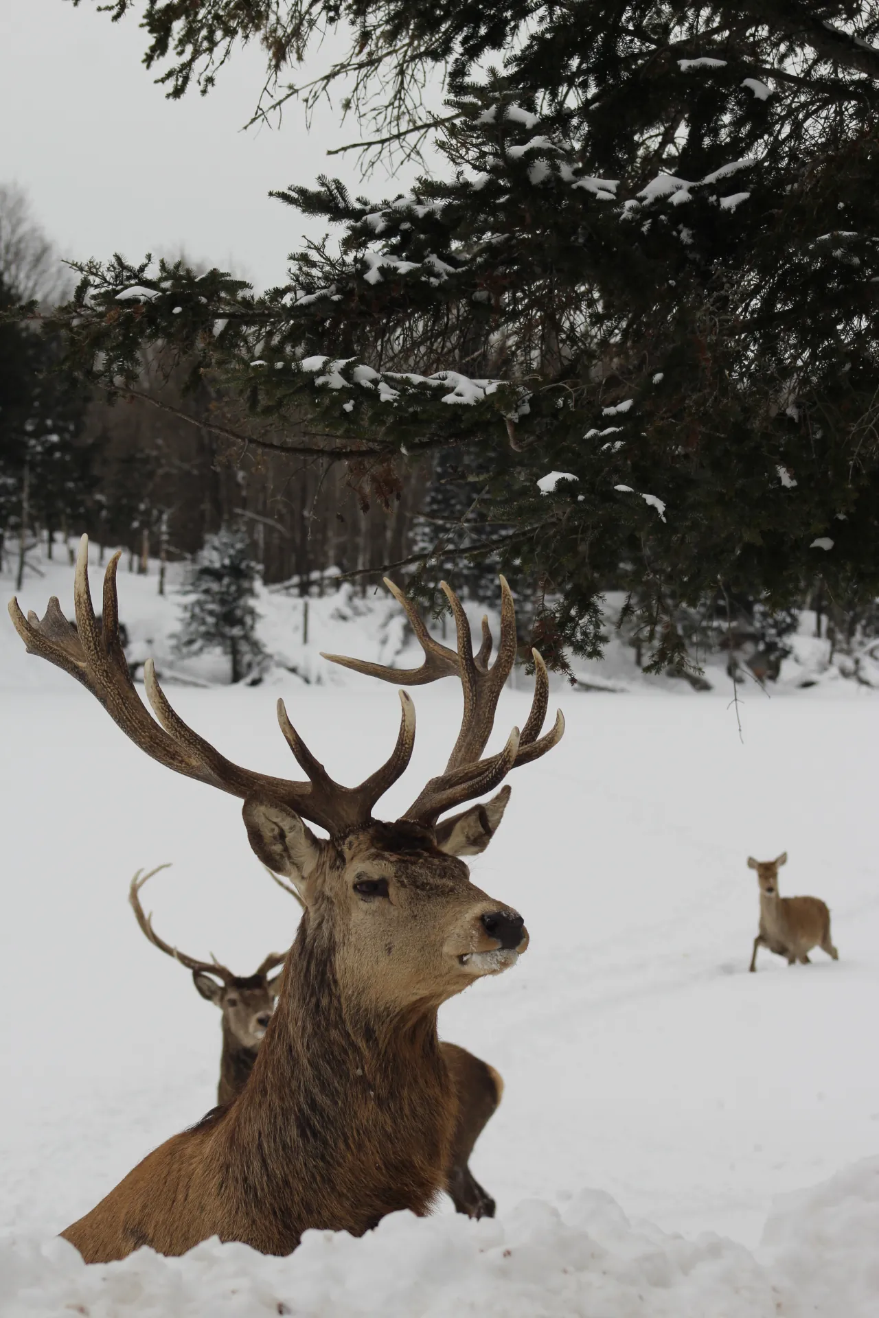 Photographie de Canada - 1