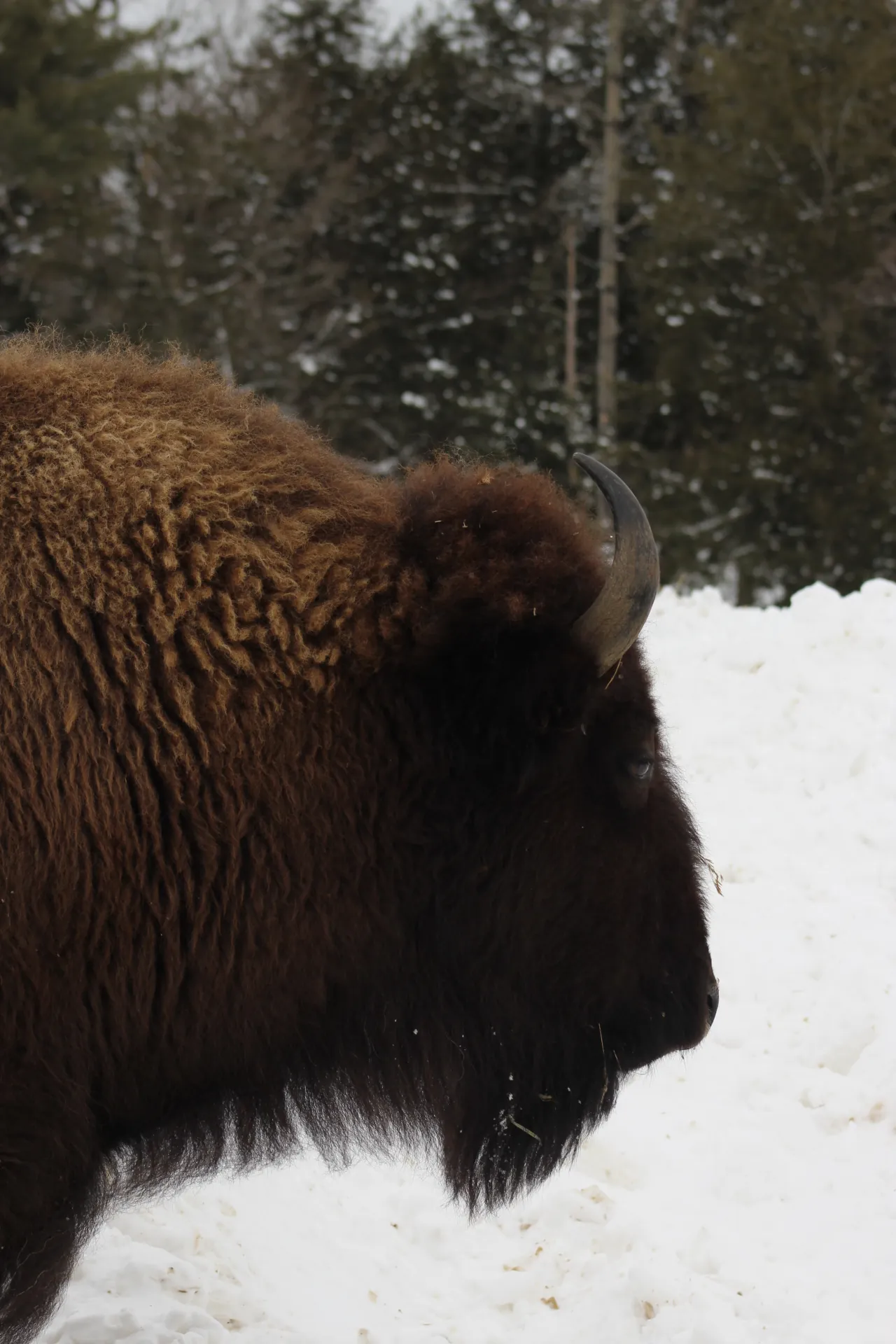 Photographie de Canada - 5