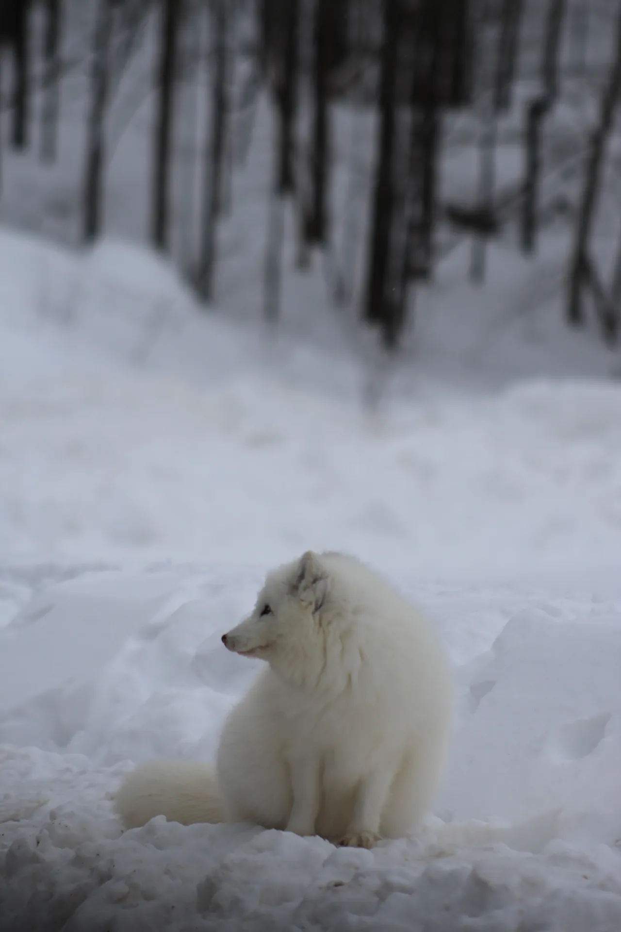 Photographie de Canada - 7