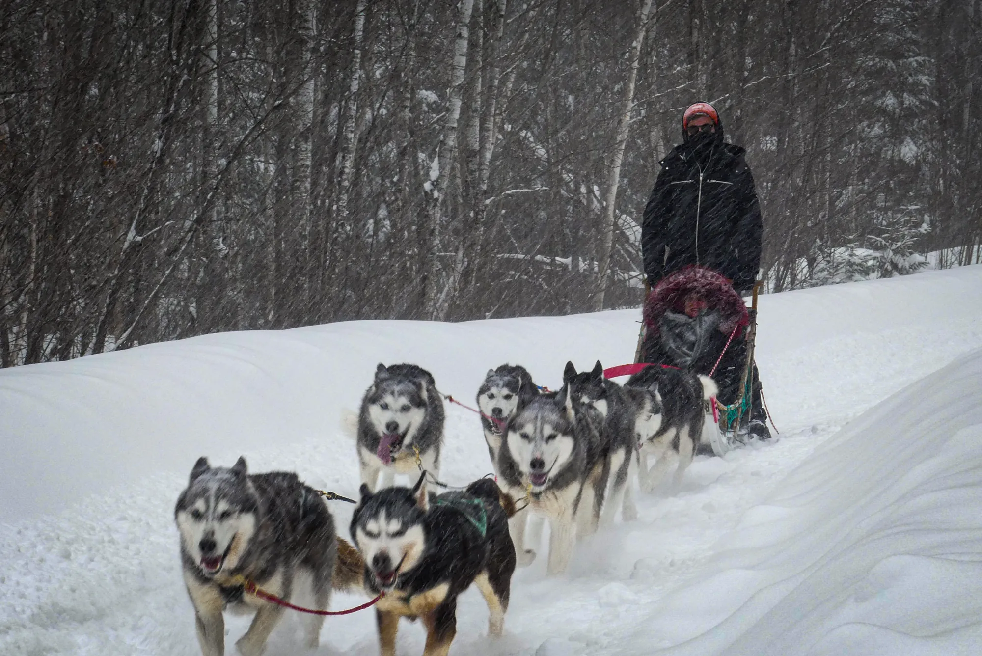 Photographie de Canada - 9