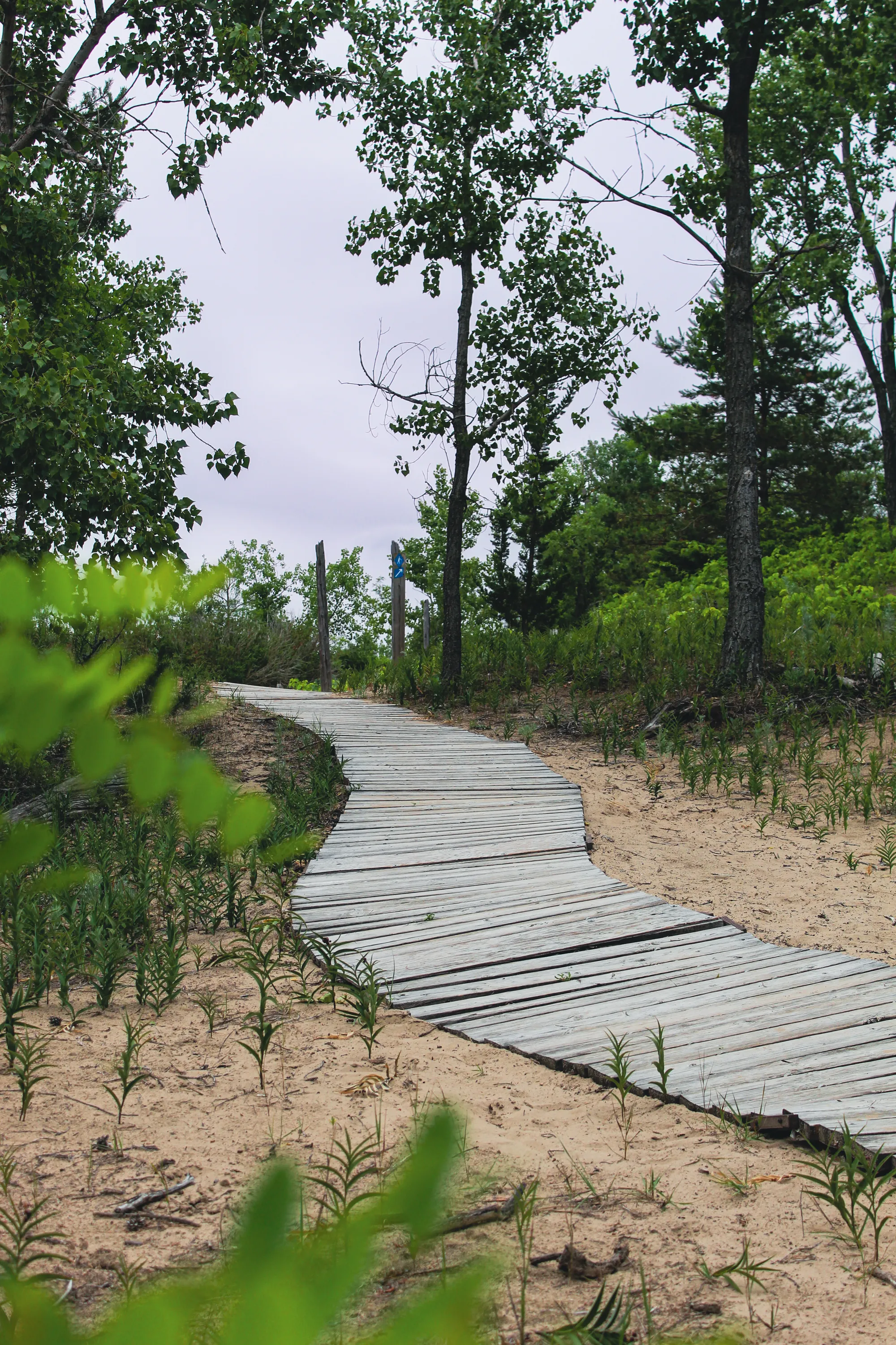 Photographie de Canada - 15