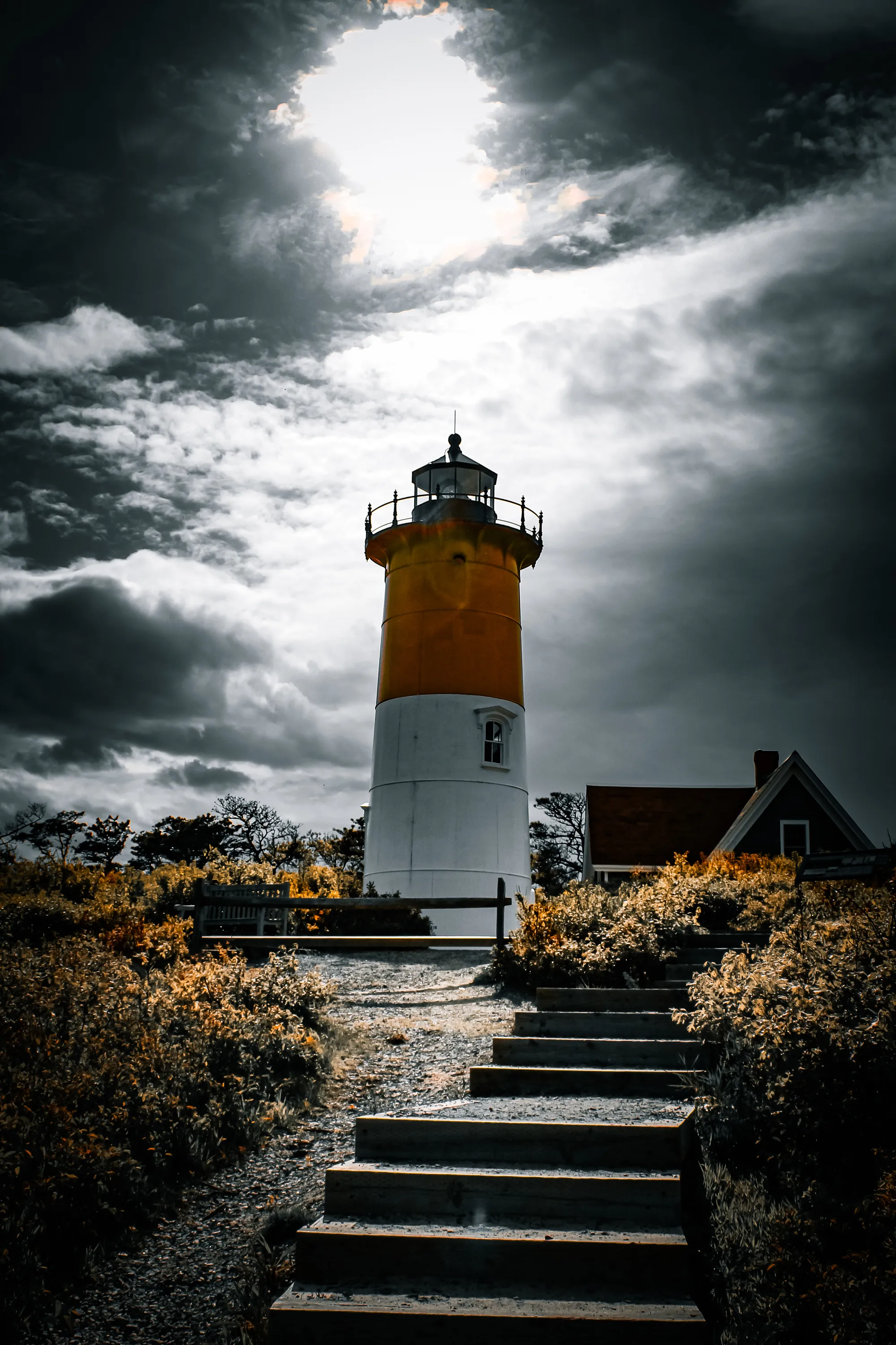 Photographie de Cape Cod - 3