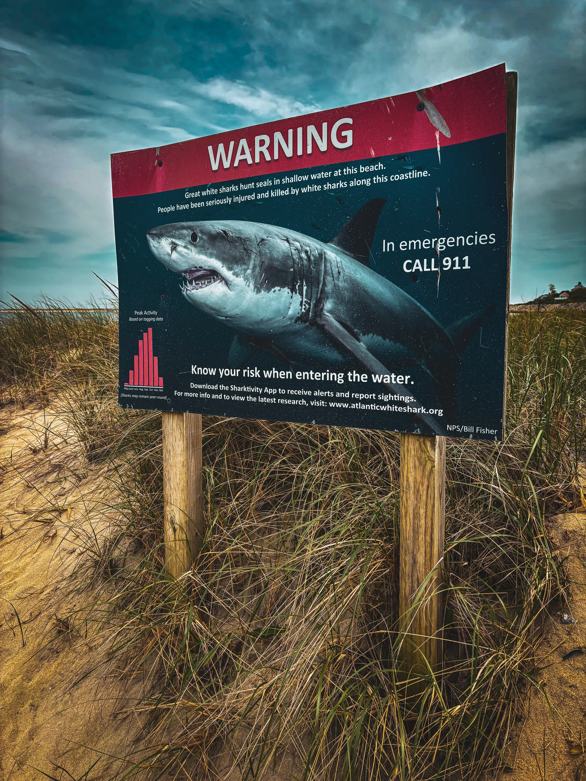 Photographie de Cape Cod - 4