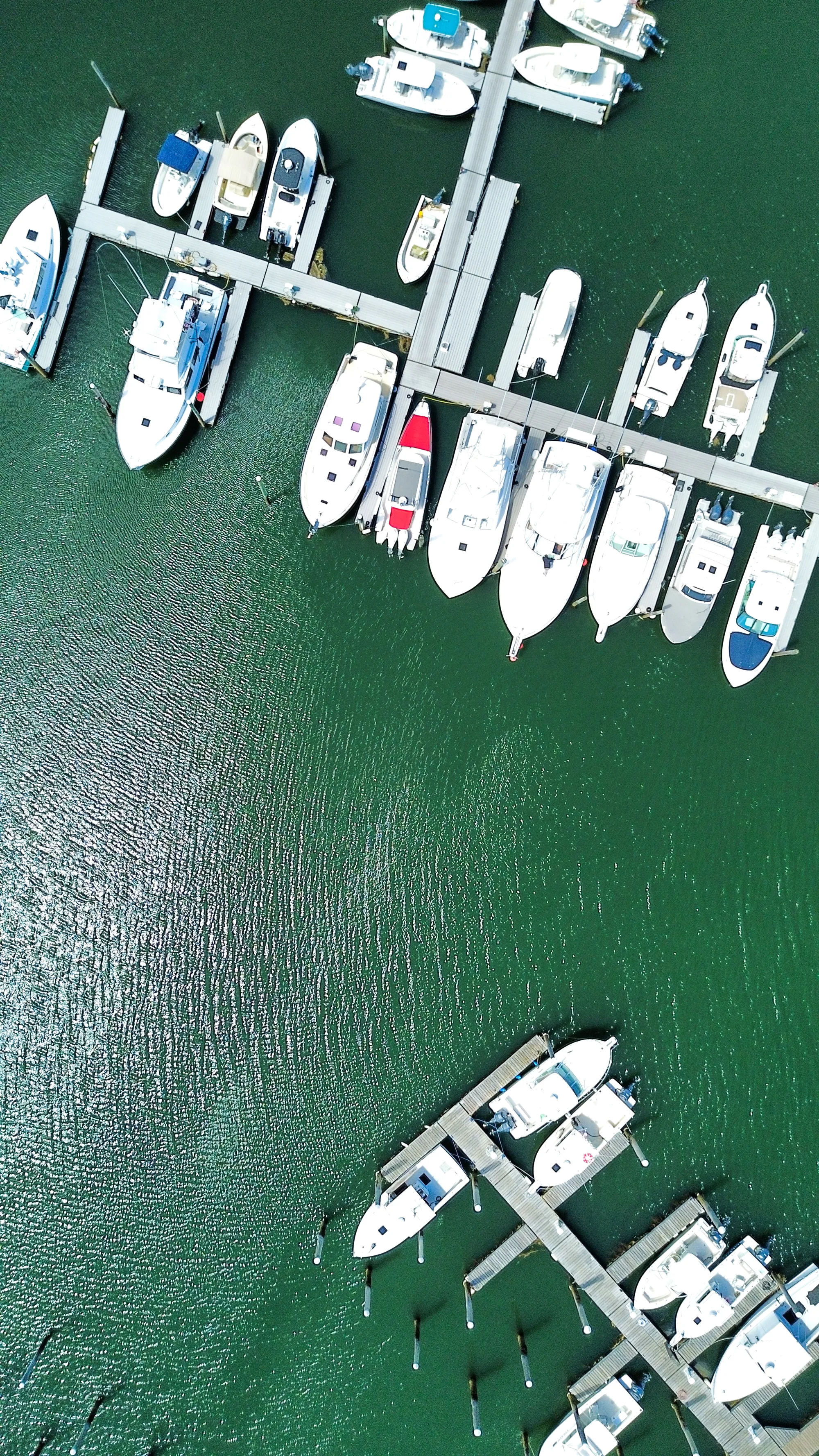 Photographie de Cape Cod - 13