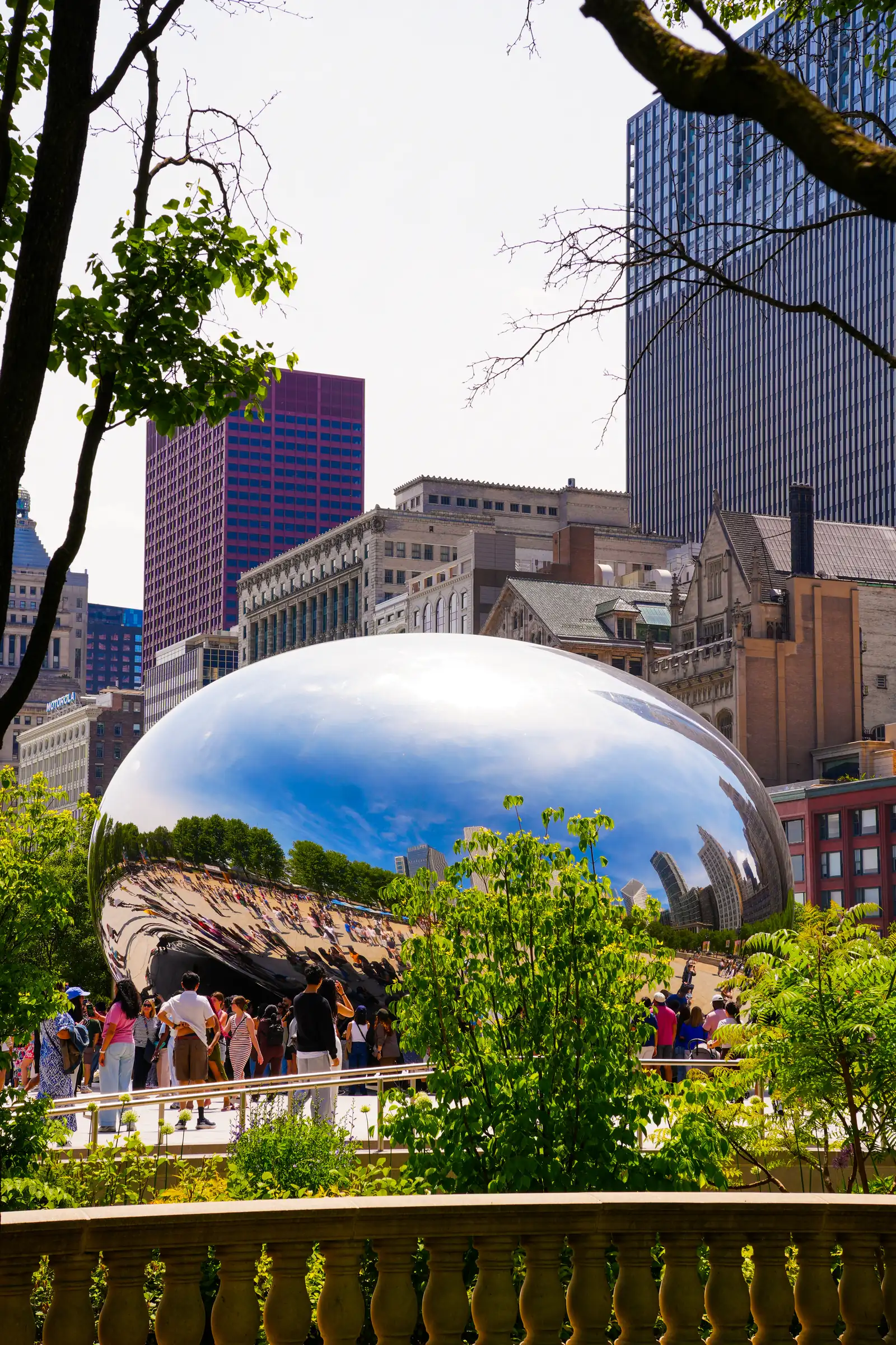 A aquatic view of Chicago. artistique