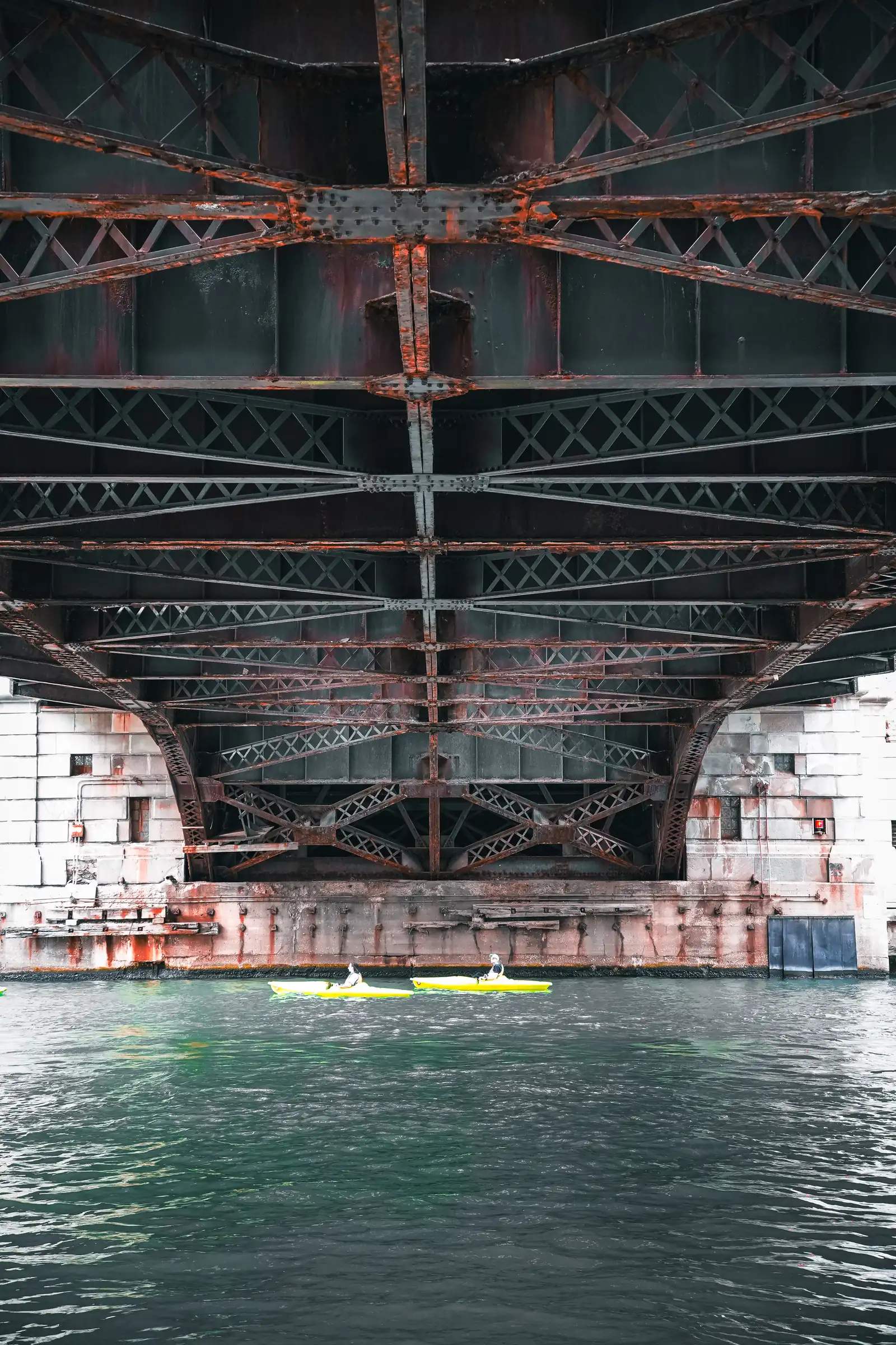 Capturing the aquatic essence of Chicago. Photo by Romain Charretteur.