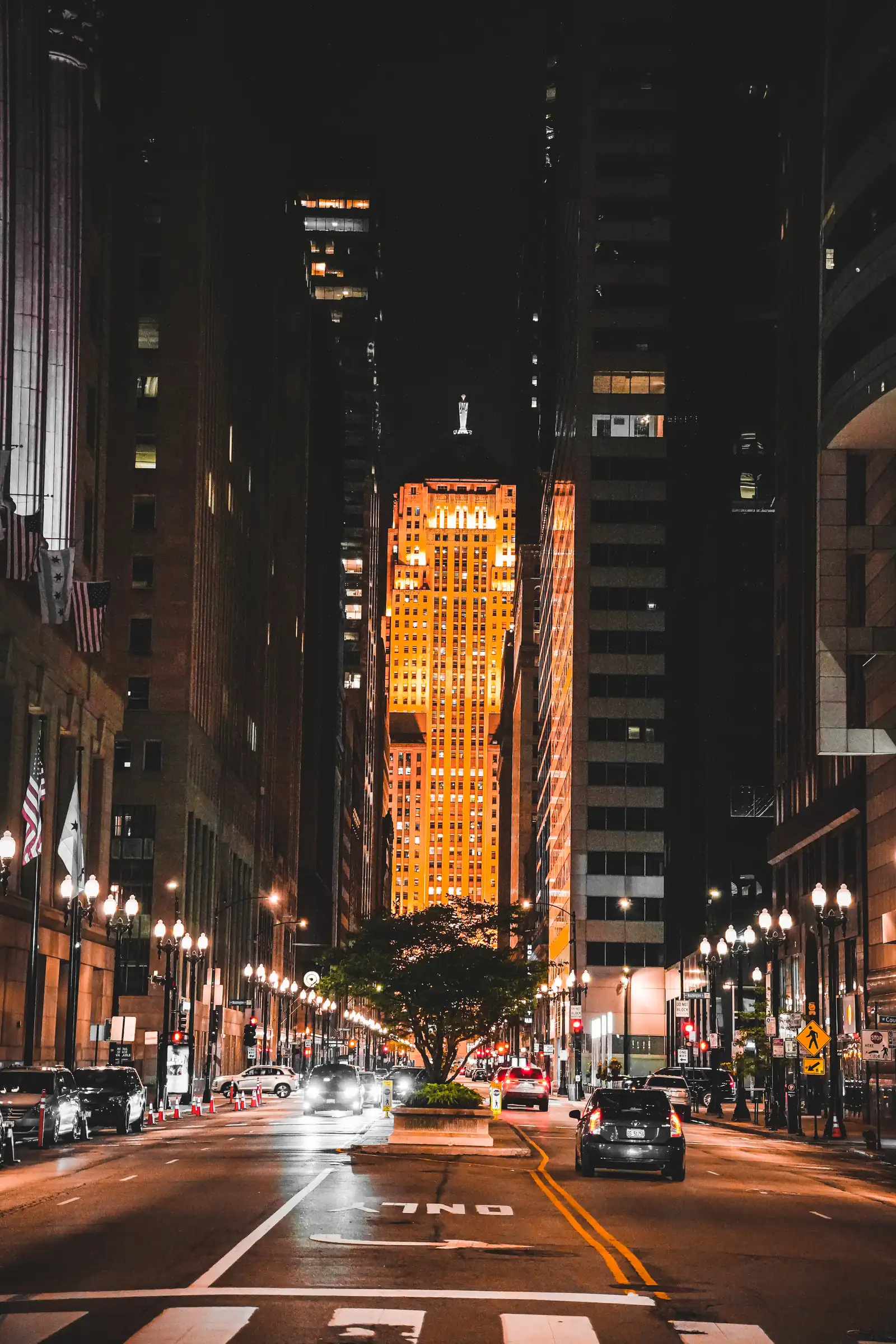 The aquatic atmosphere of Chicago, a artistique shot.