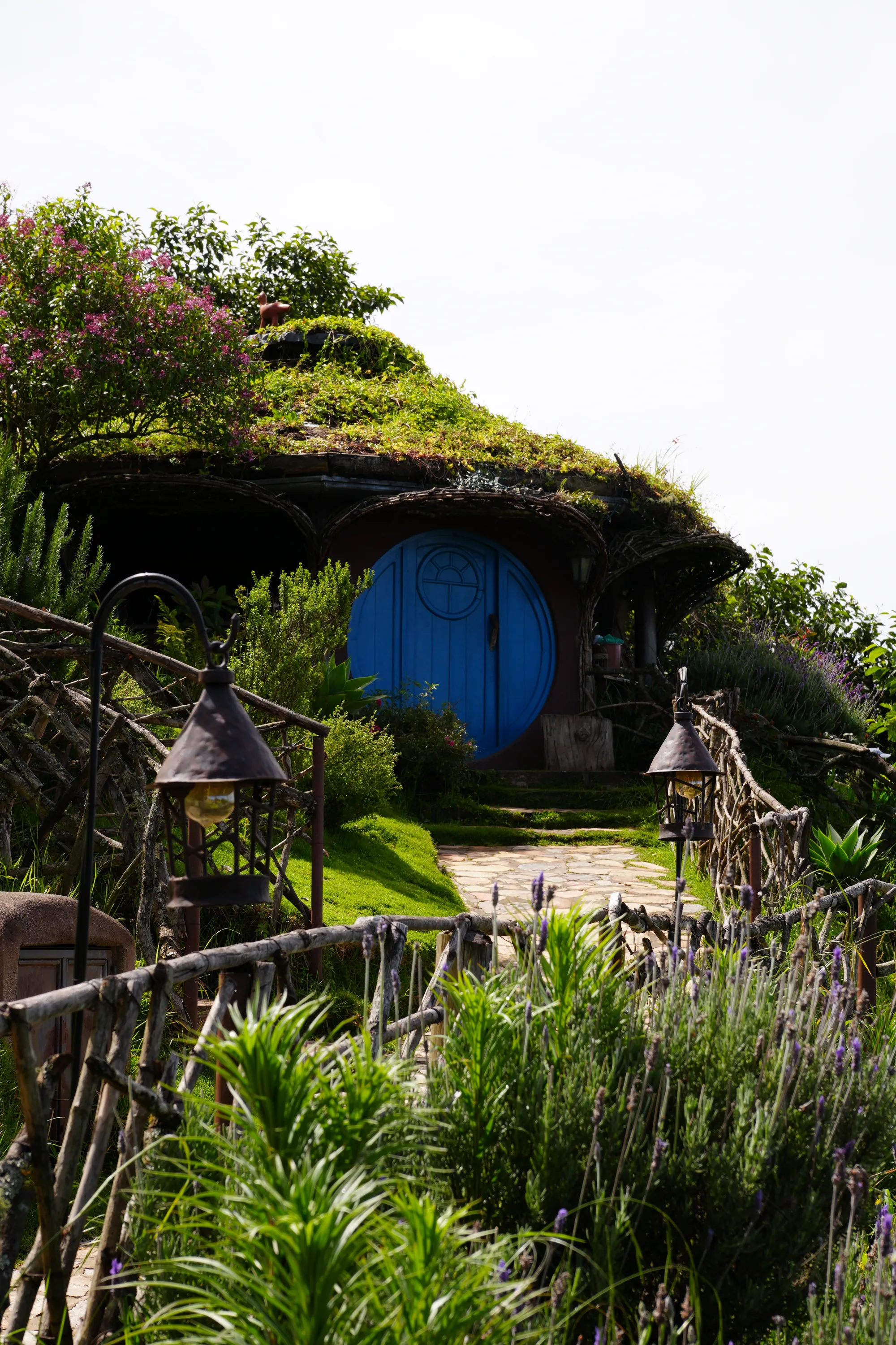 Photographie de Guatemala - 14