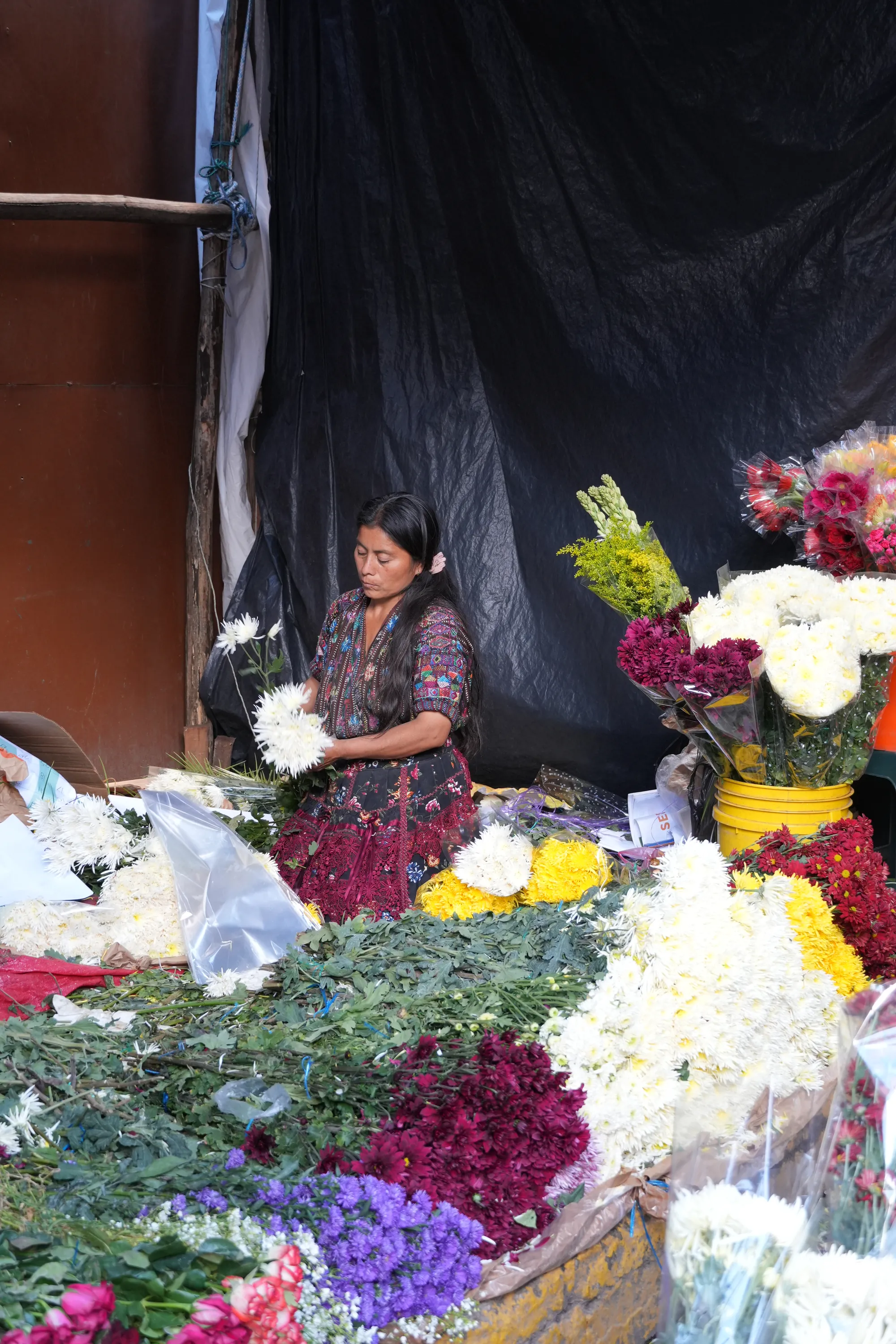 Photographie de Guatemala - 26