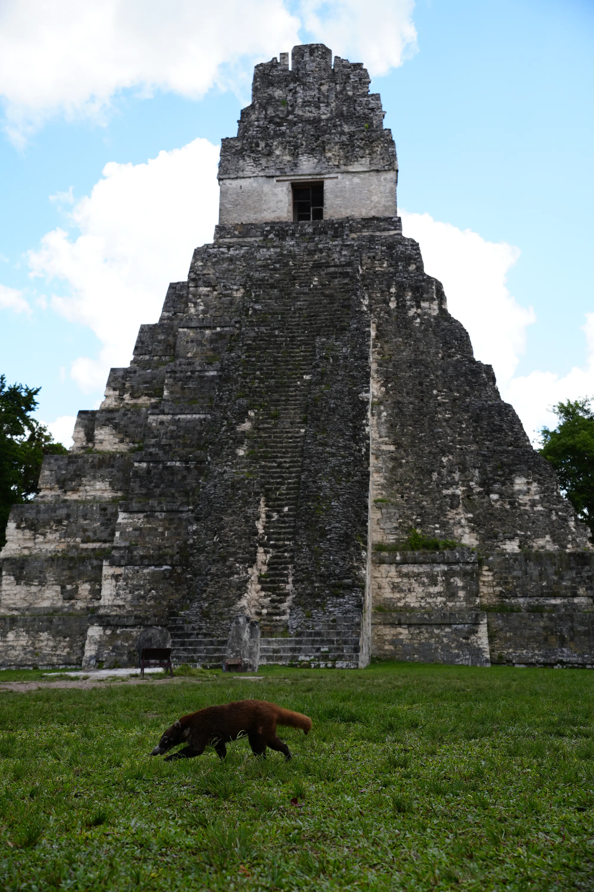Photographie de Guatemala - 35