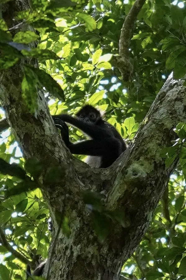 Photographie de Guatemala - 36