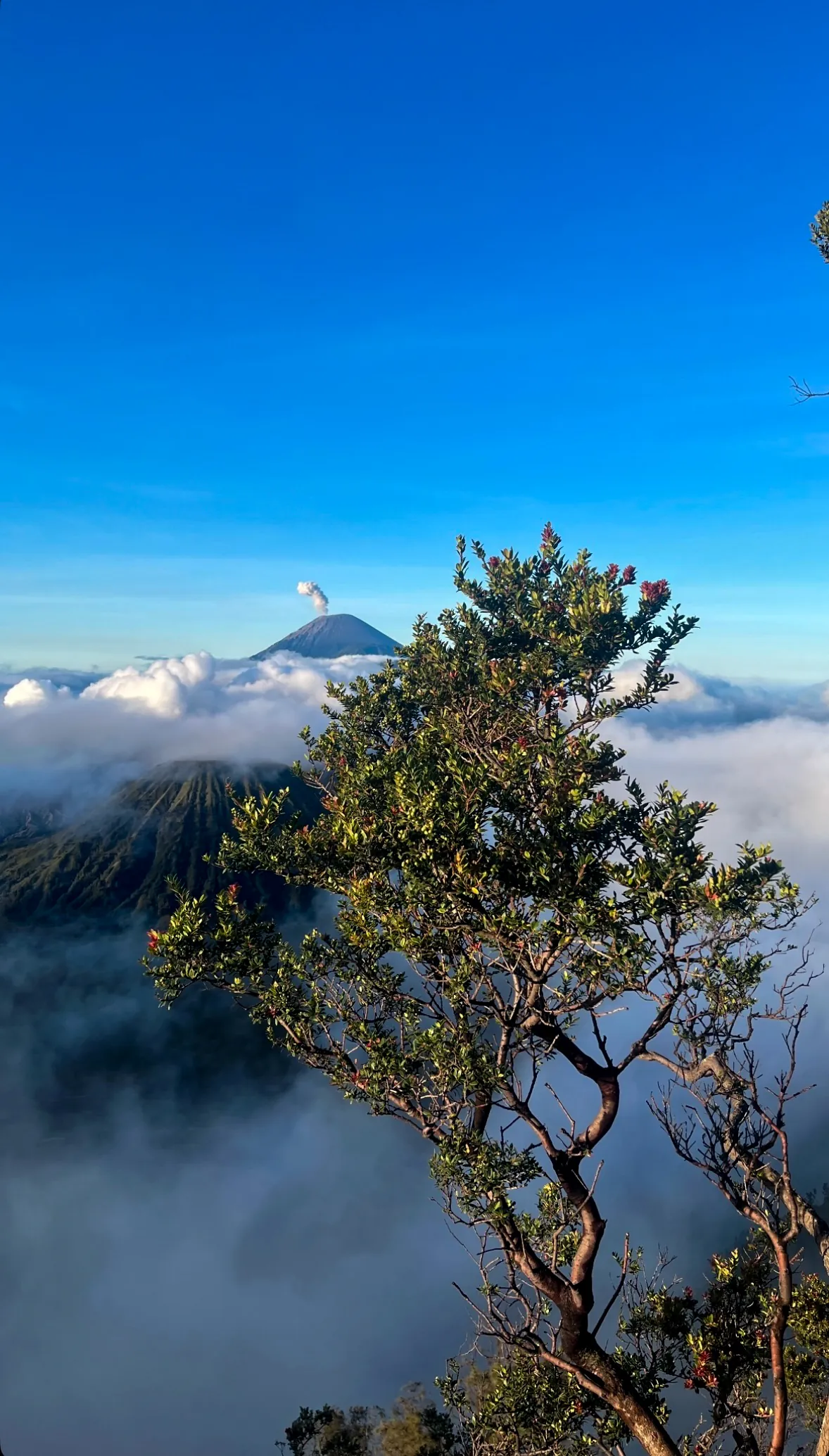 Photographie de Indonesie - 10