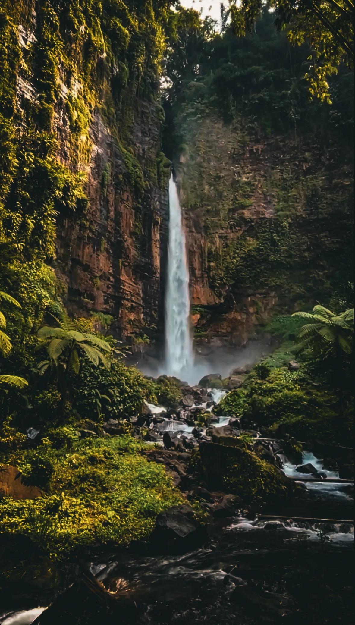 Photographie de Indonesie - 12