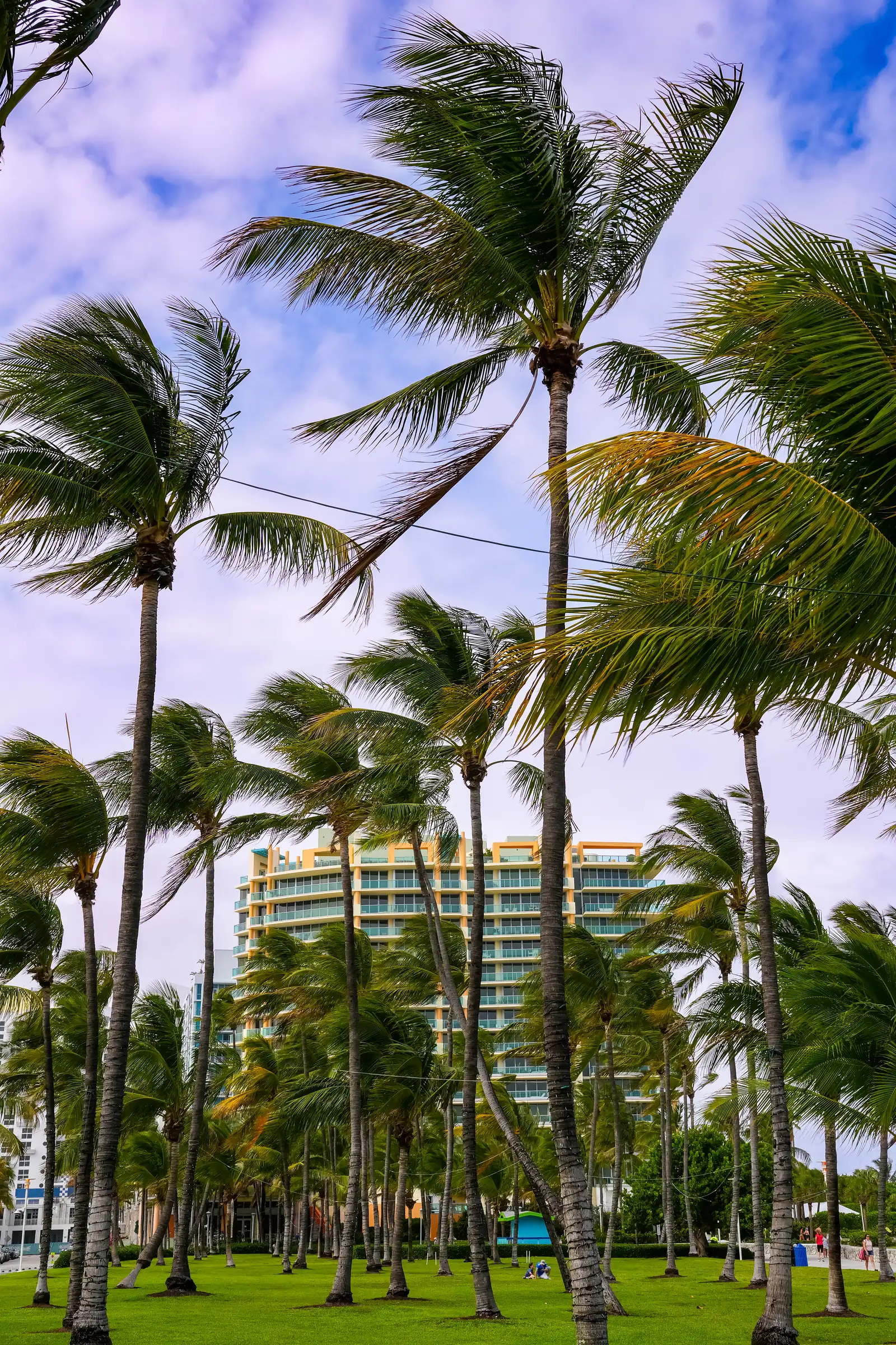 A modern view of Miami. with cold reflections
