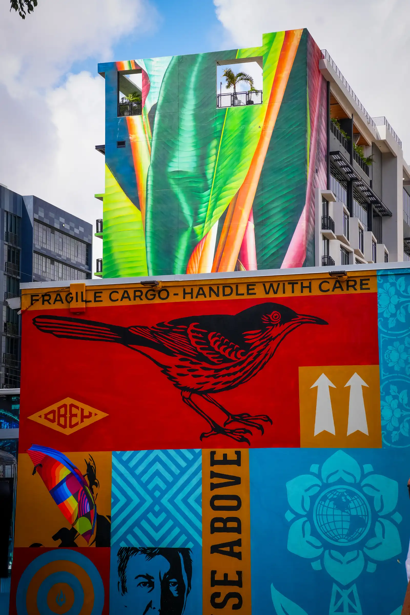 Visual exploration of Miami, featuring a vibrant aesthetic.
