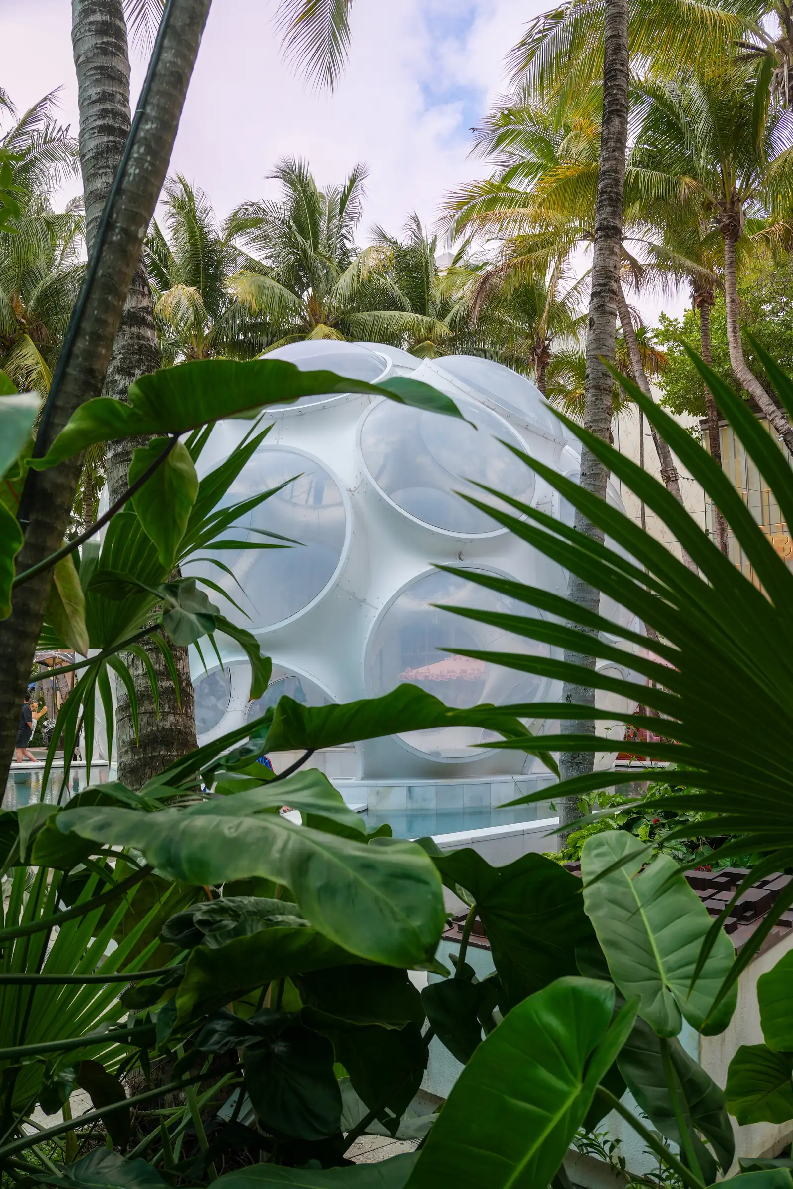 Visual exploration of Miami, featuring a vibrant aesthetic.