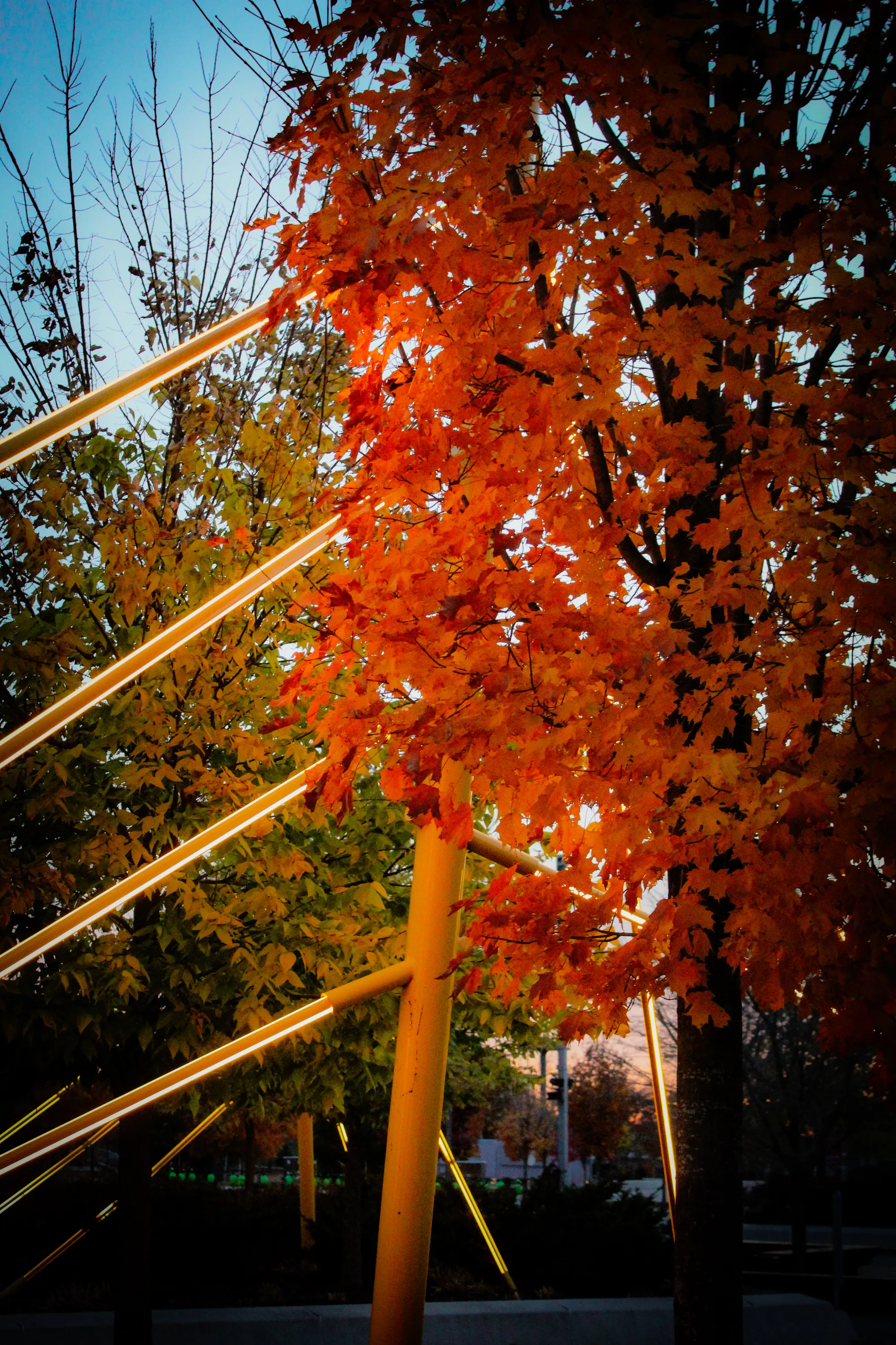 Photographie de Montreal - 20