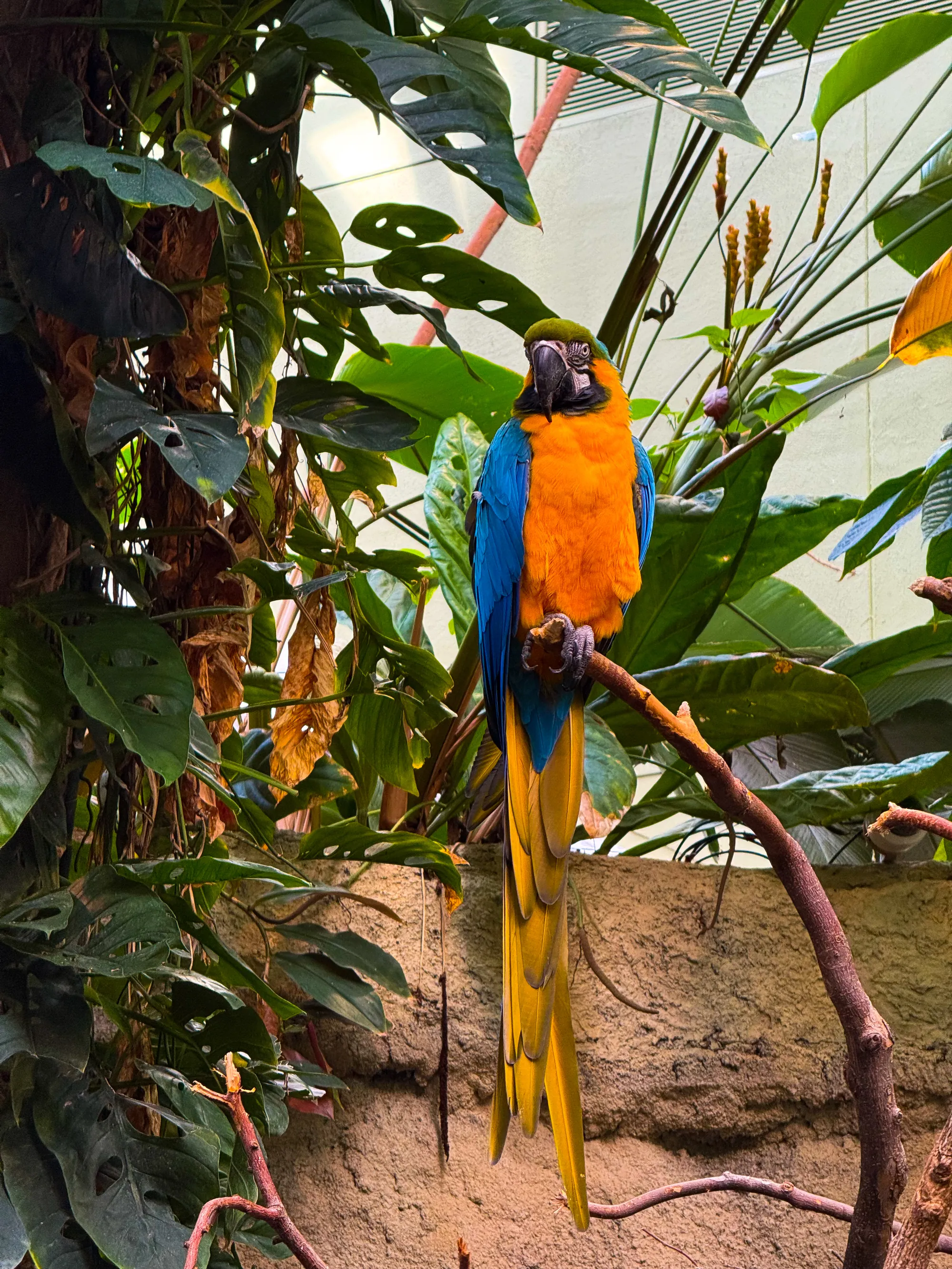 Photographie de Montreal - 28