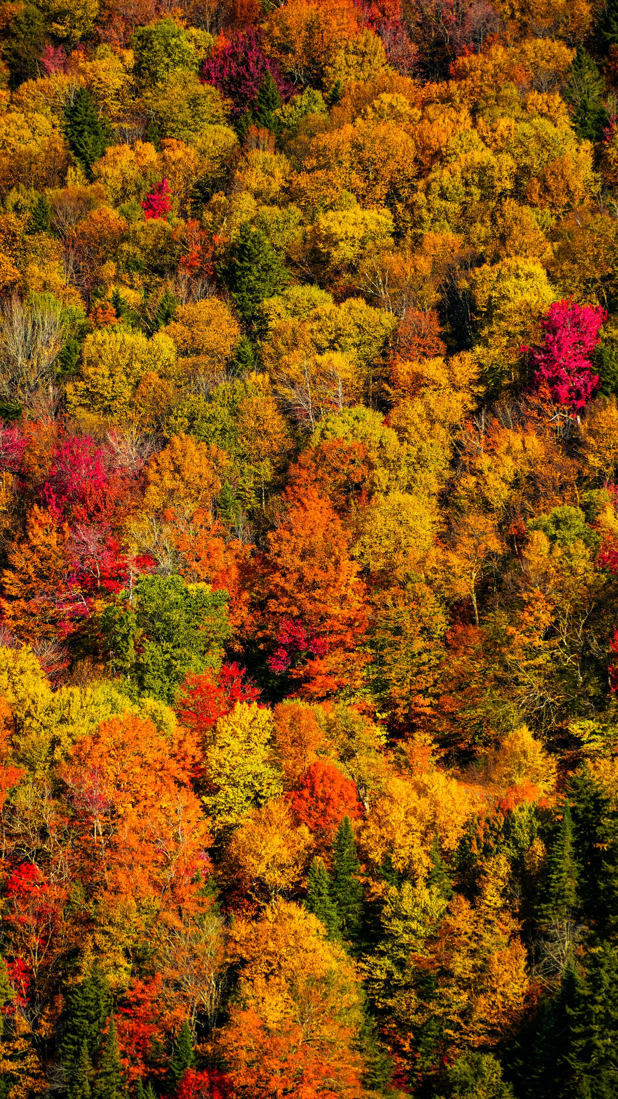 Photographie de New Hampshire - 2