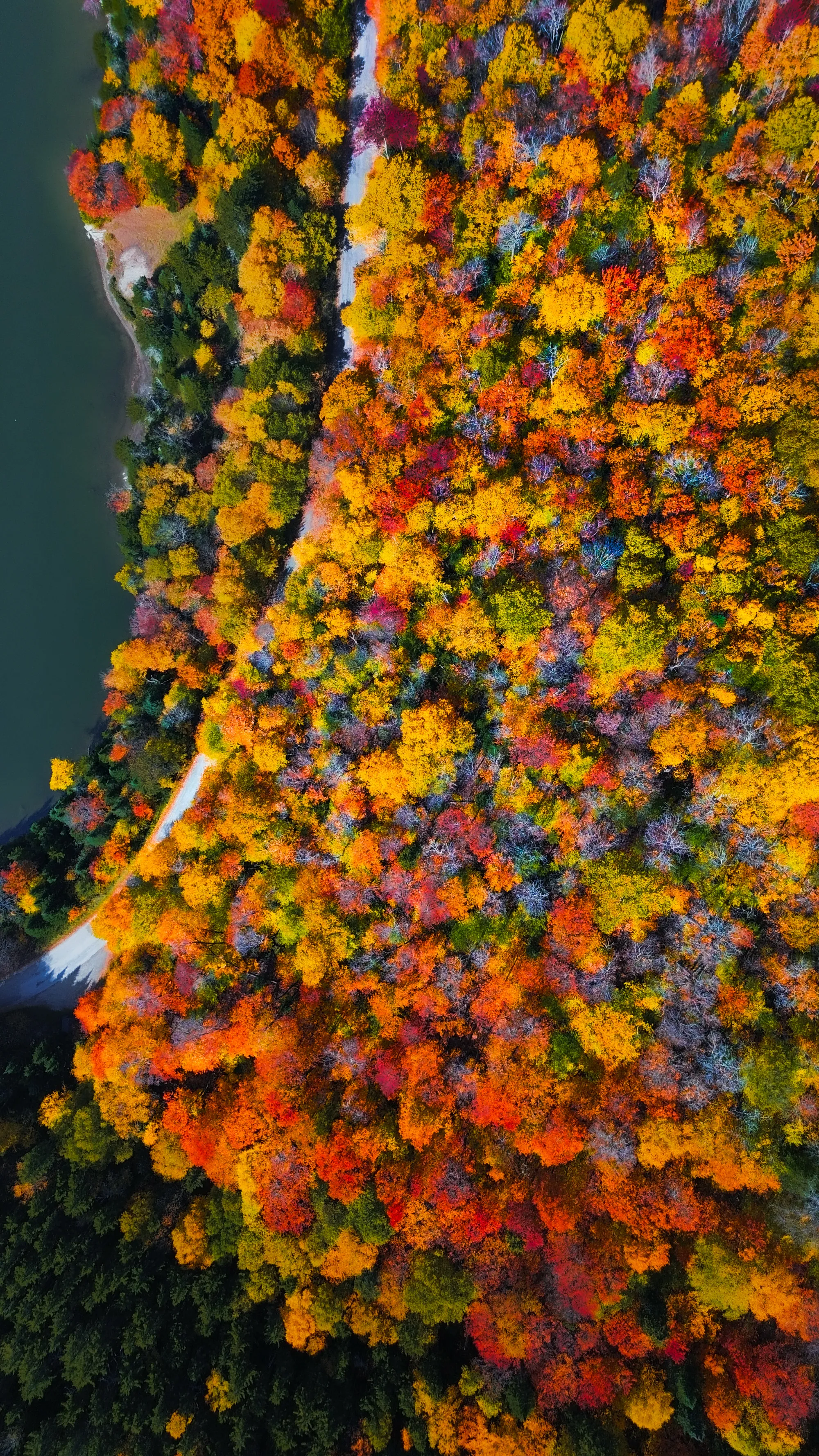 Photographie de New Hampshire - 6