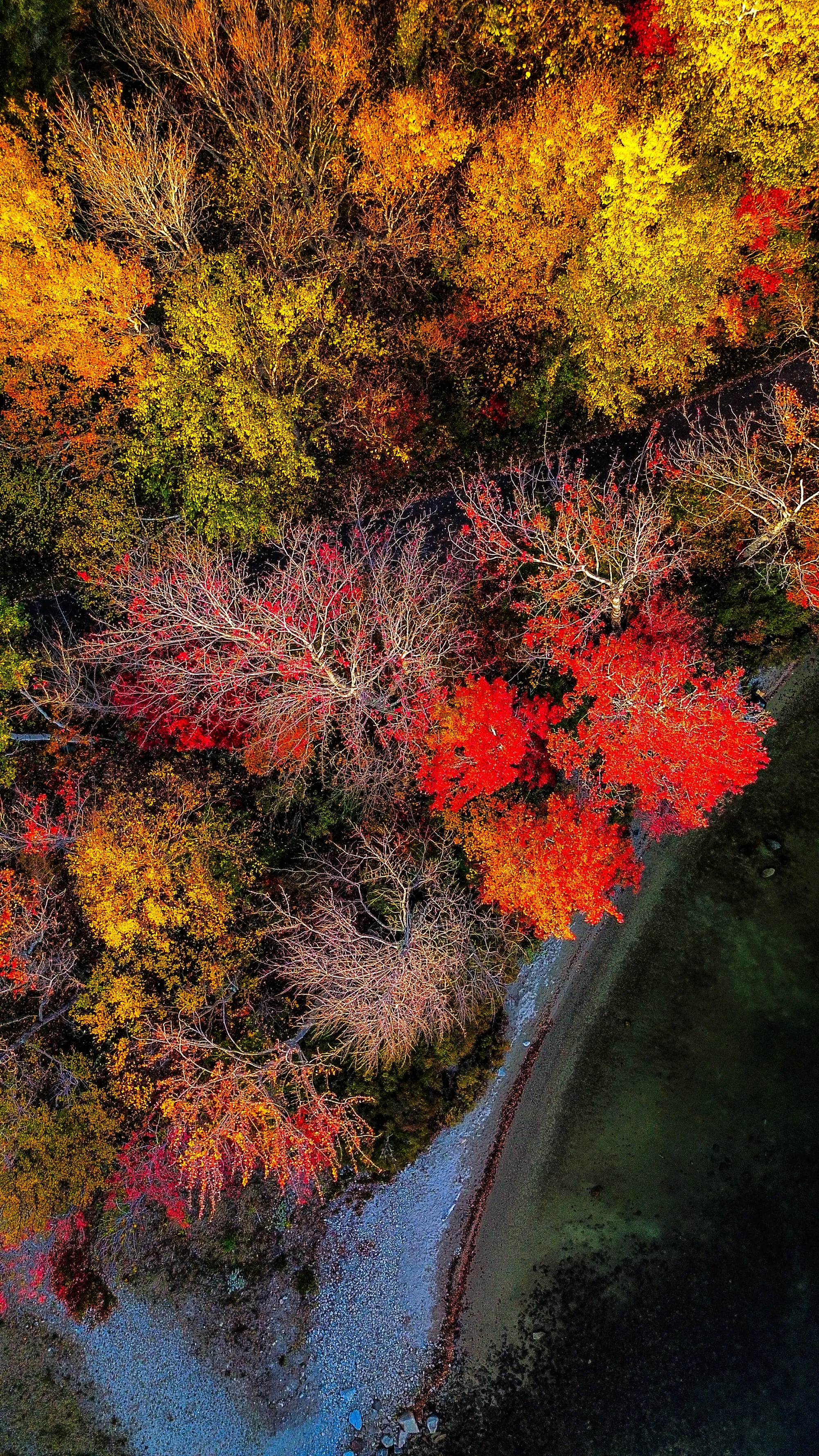 Photographie de New Hampshire - 9