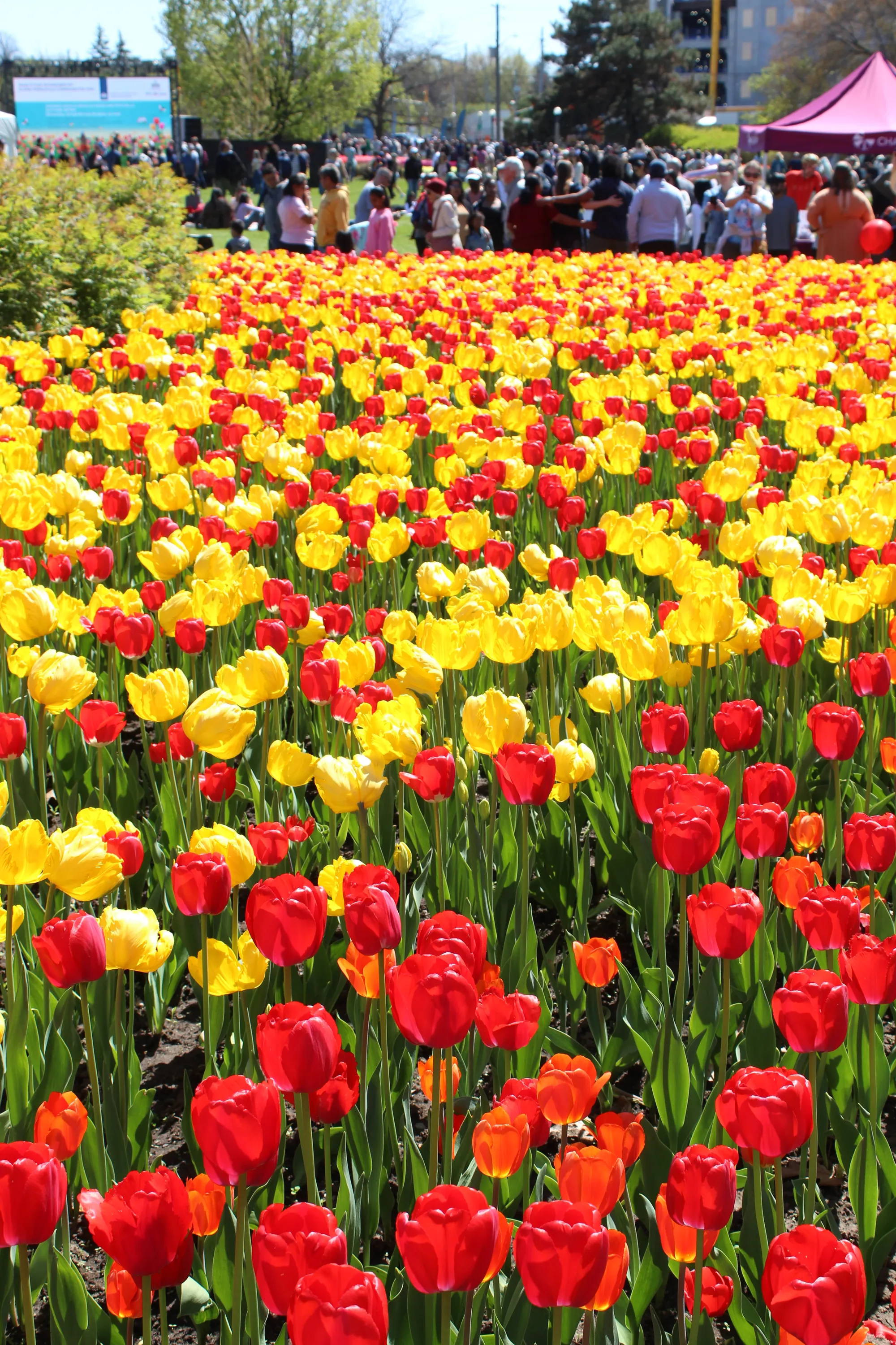 Photographie de Ottawa - 1