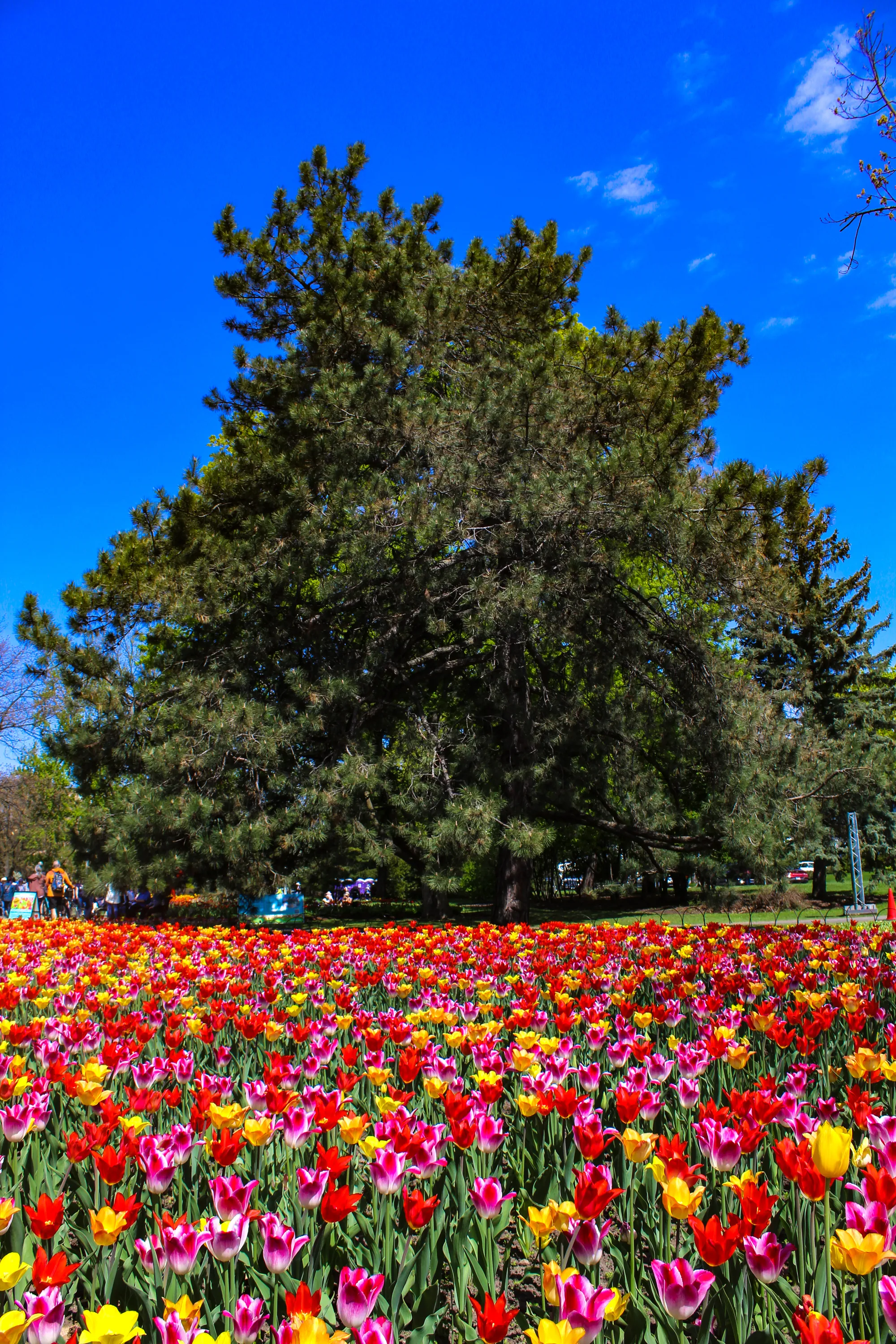 Photographie de Ottawa - 2