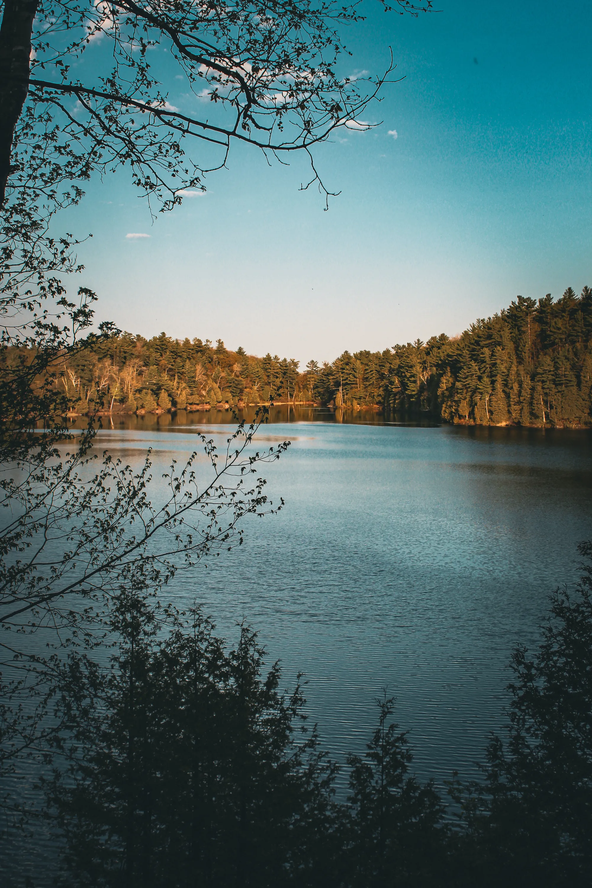 Photographie de Ottawa - 5