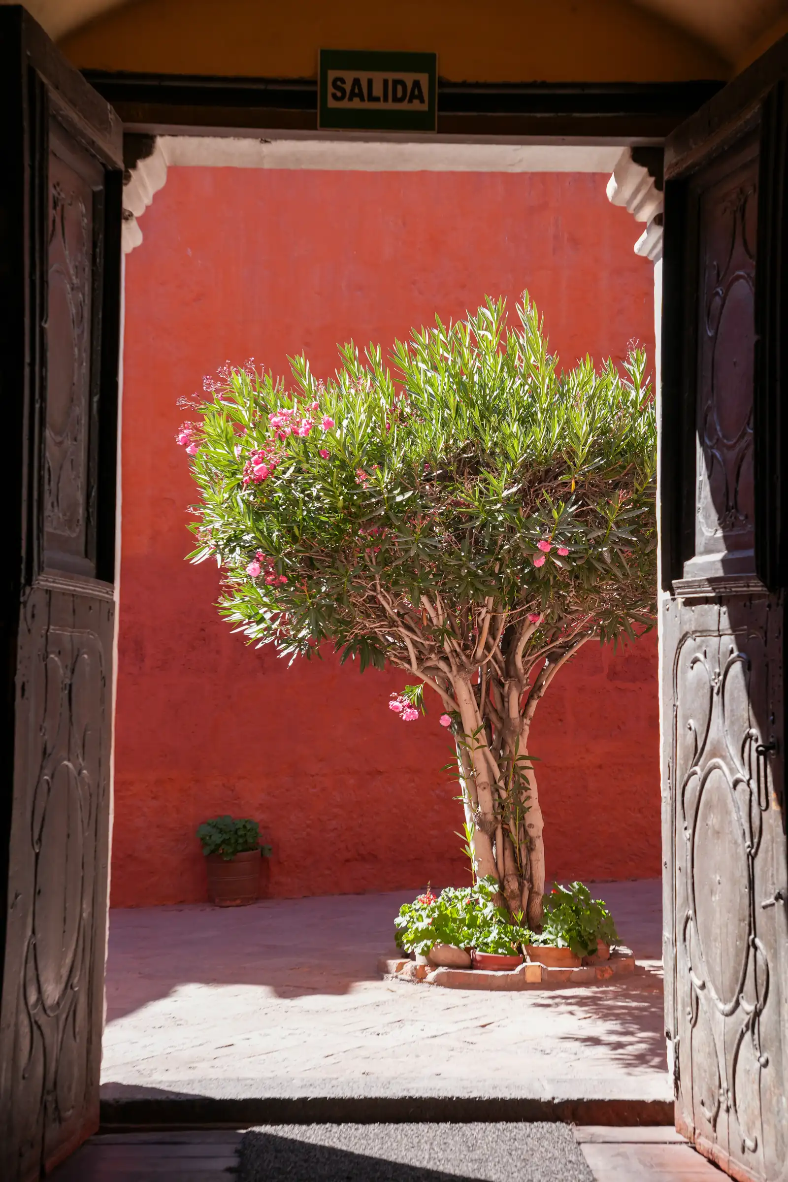 The unique atmosphere of Peru, a artistique shot.