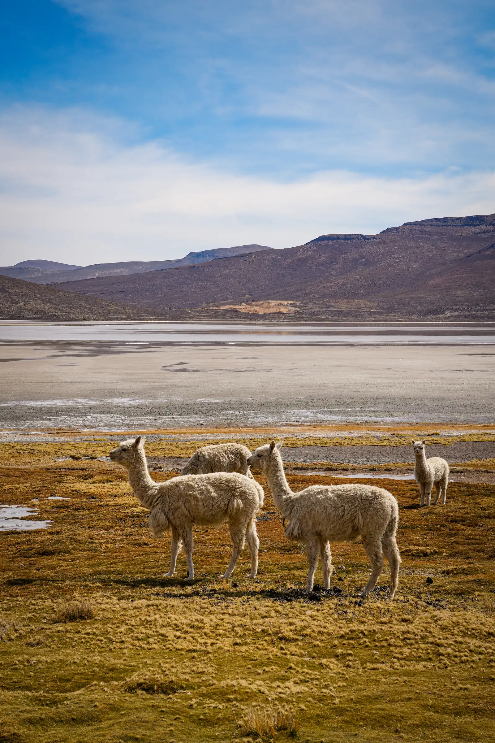 Visual exploration of Peru, featuring a unique aesthetic.