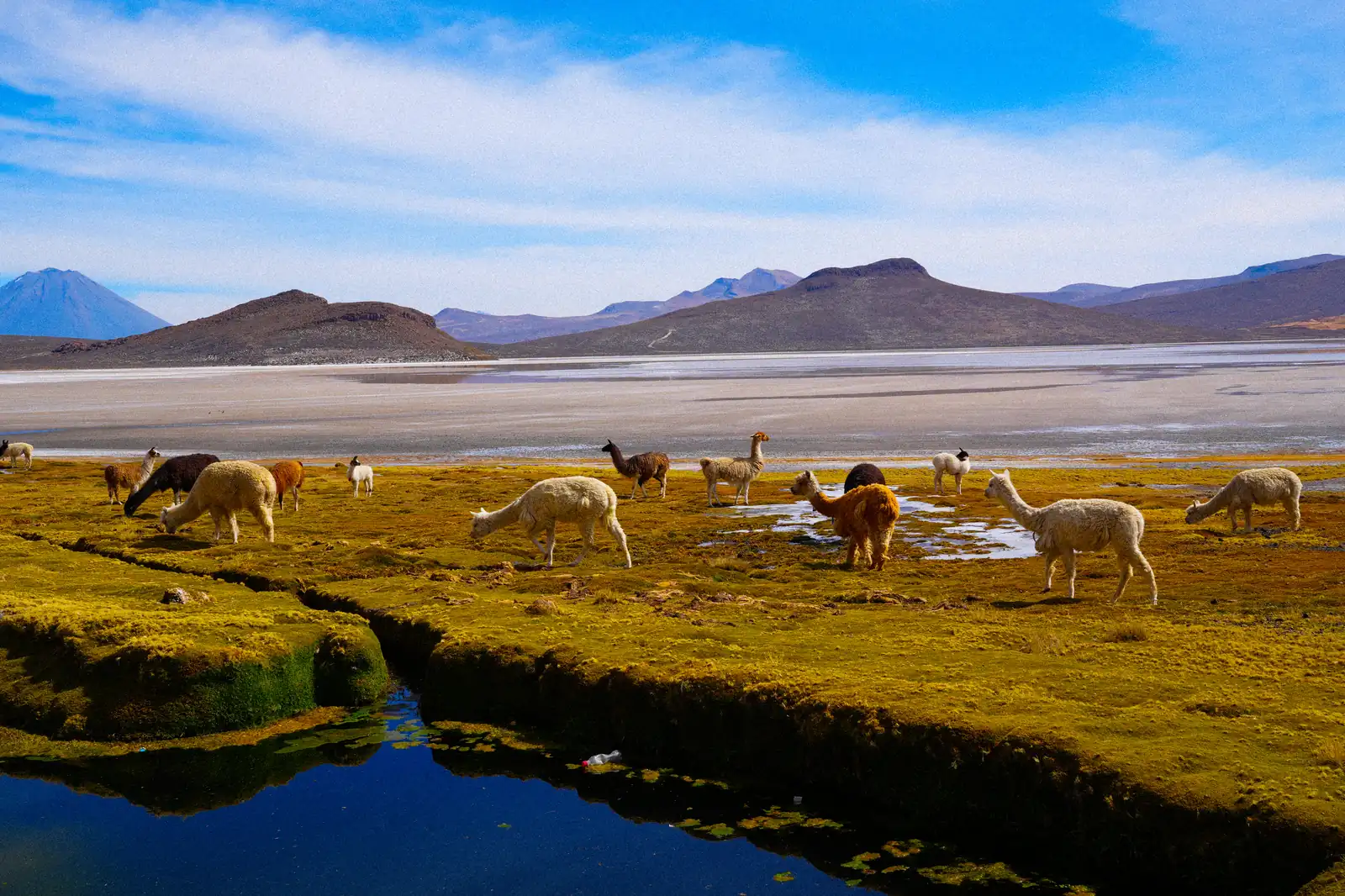 Visual exploration of Peru, featuring a unique aesthetic.