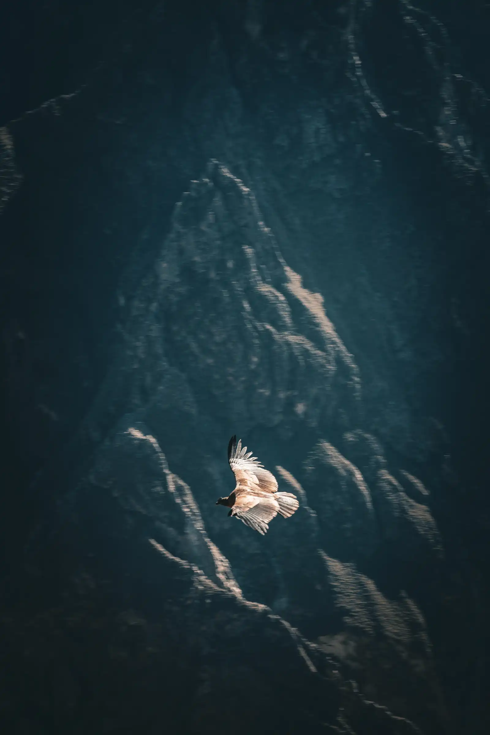 A unique view of Peru. artistique
