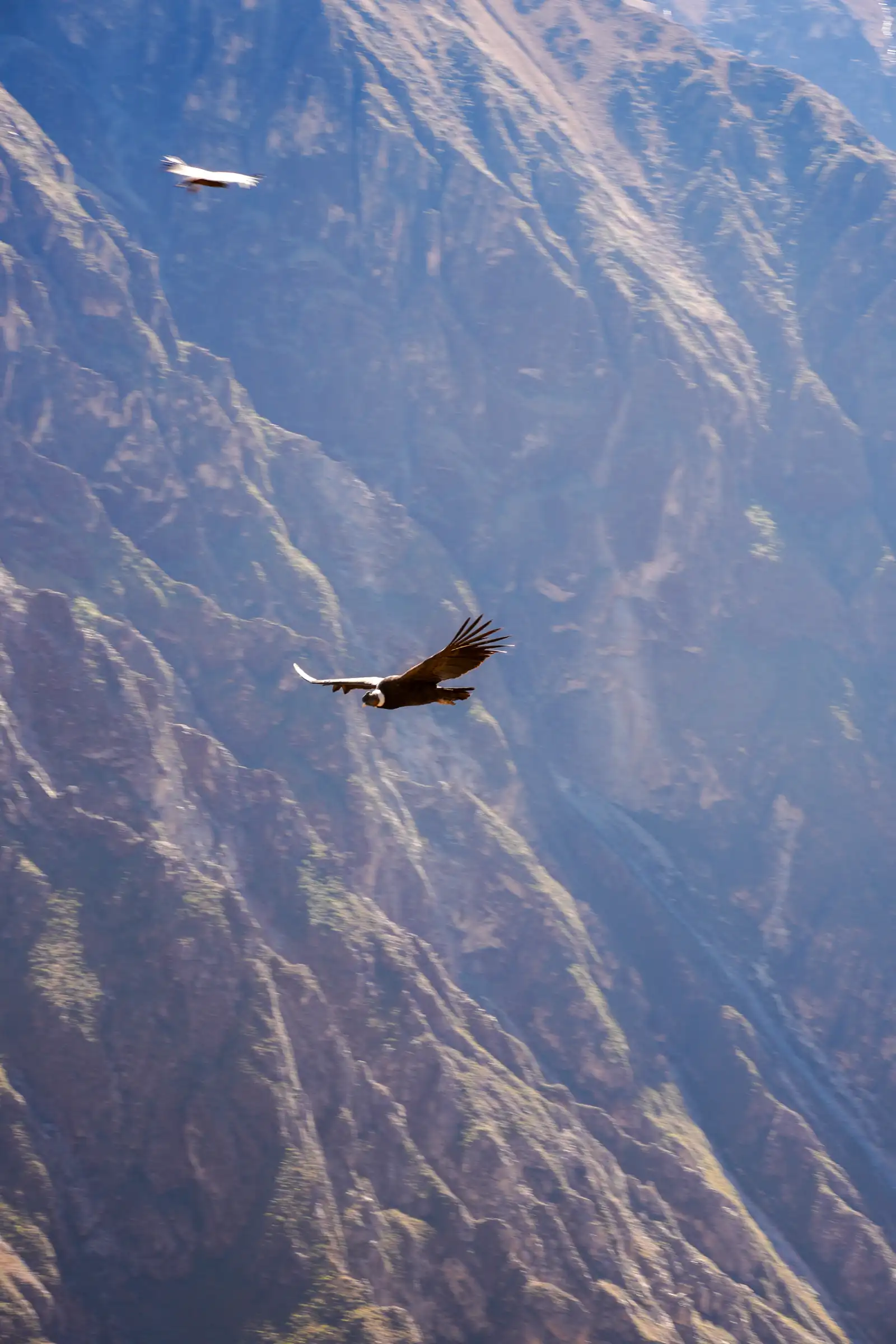 A unique view of Peru. artistique