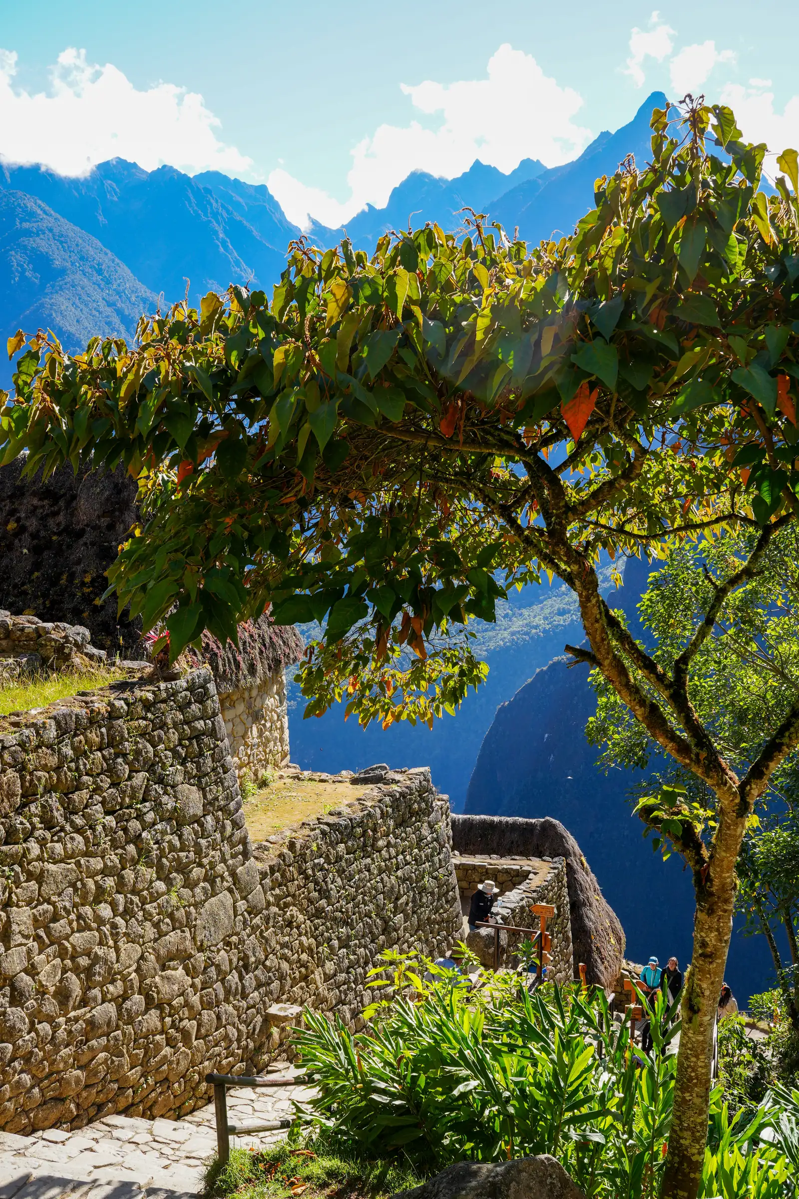 Capturing the unique essence of Peru. Photo by Romain Charretteur.