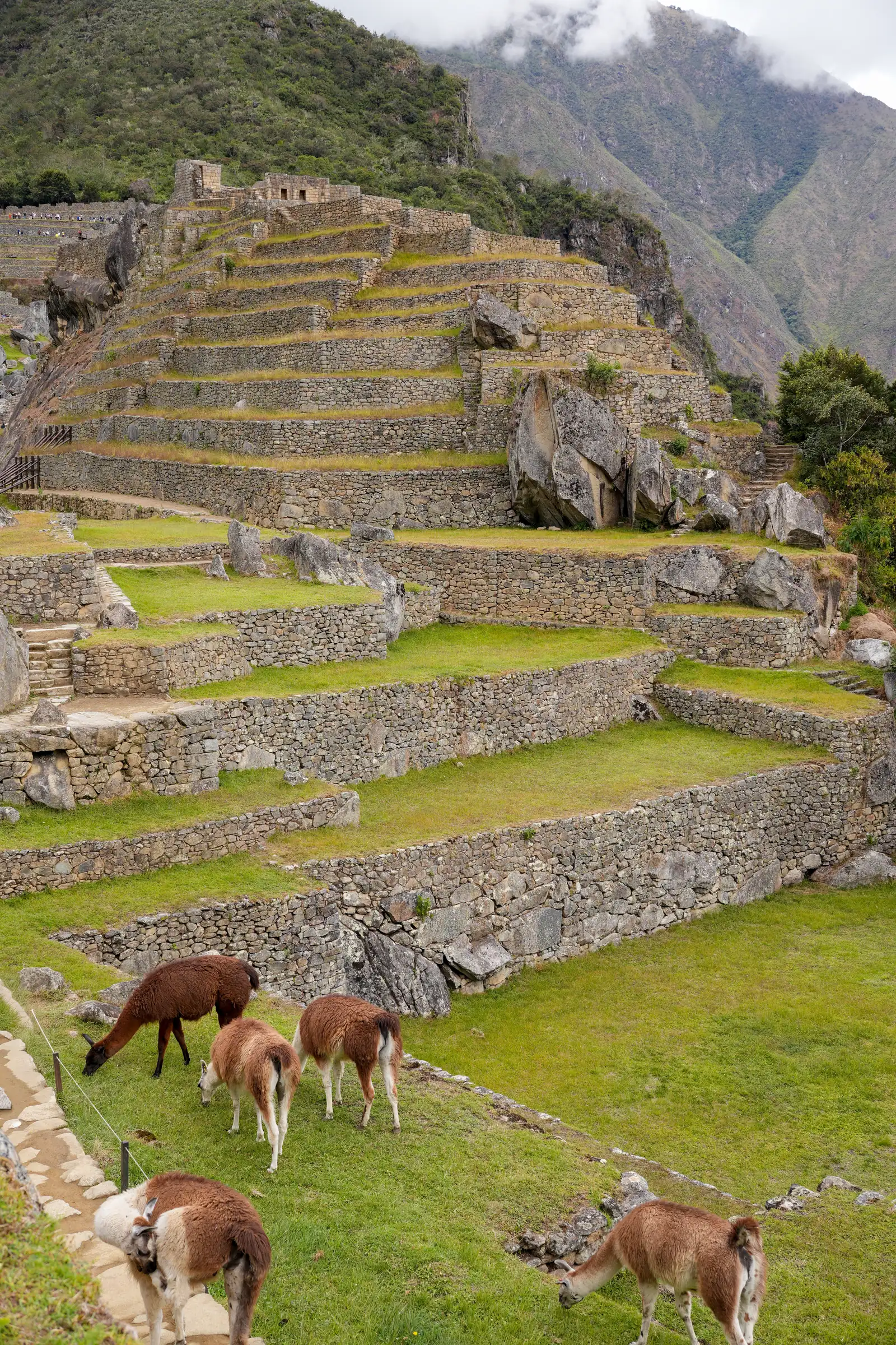 A unique view of Peru. artistique