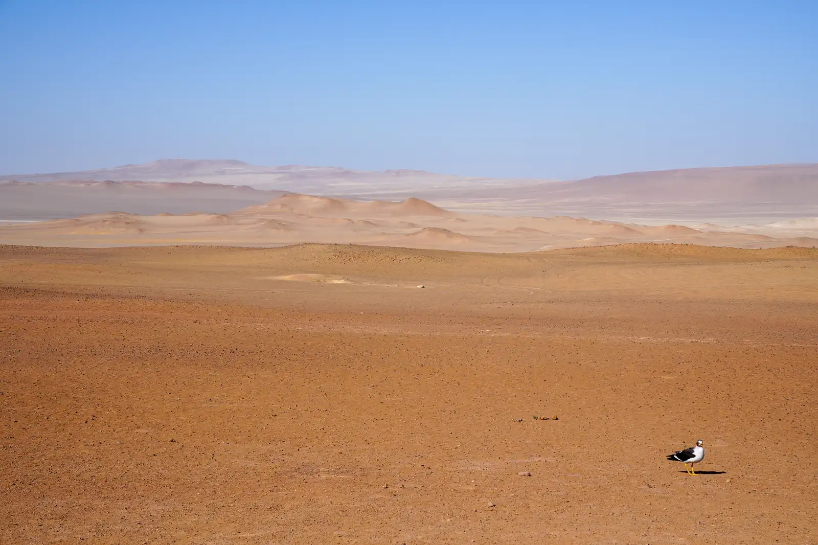 Capturing the unique essence of Peru. Photo by Romain Charretteur.