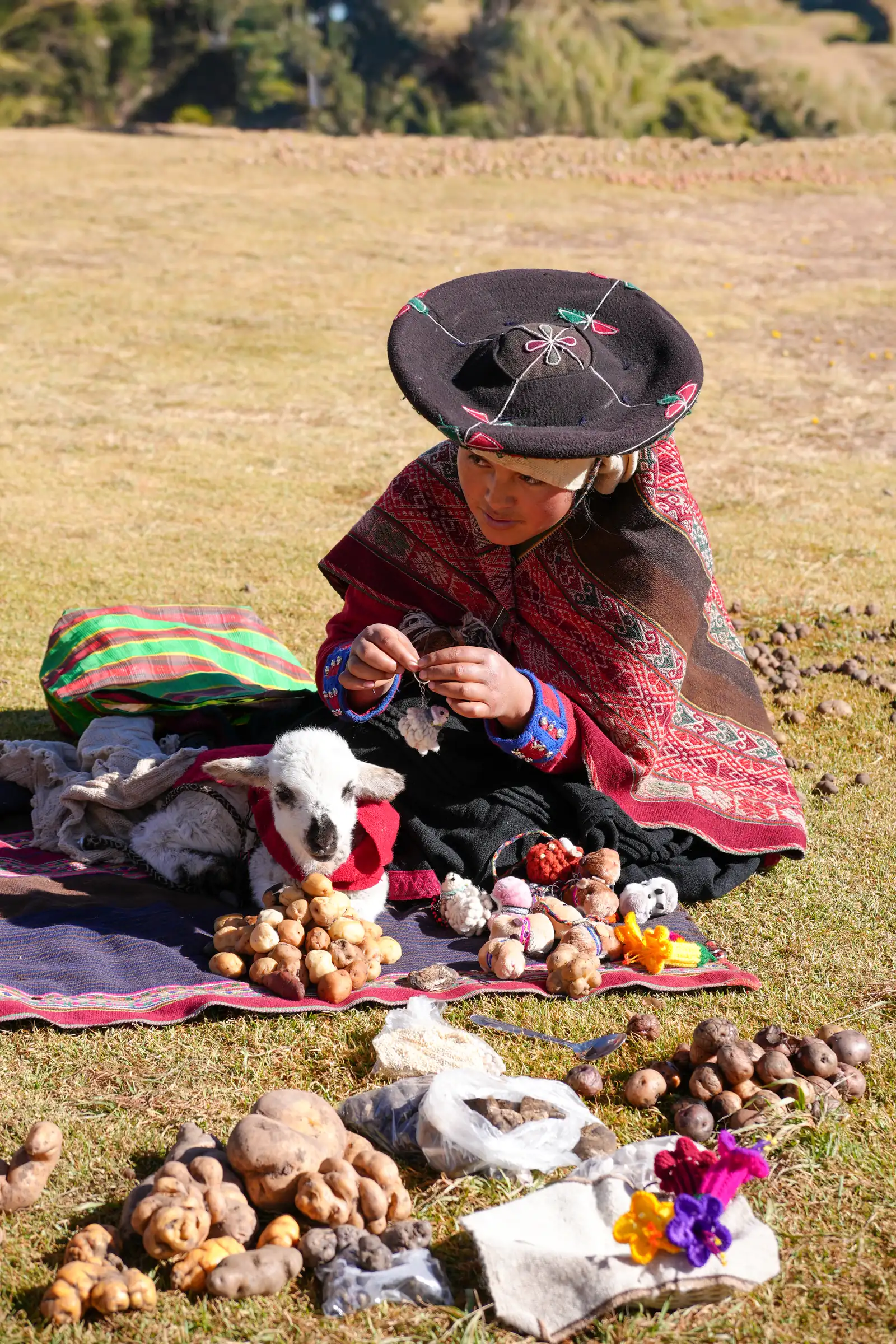 The unique atmosphere of Peru, a artistique shot.