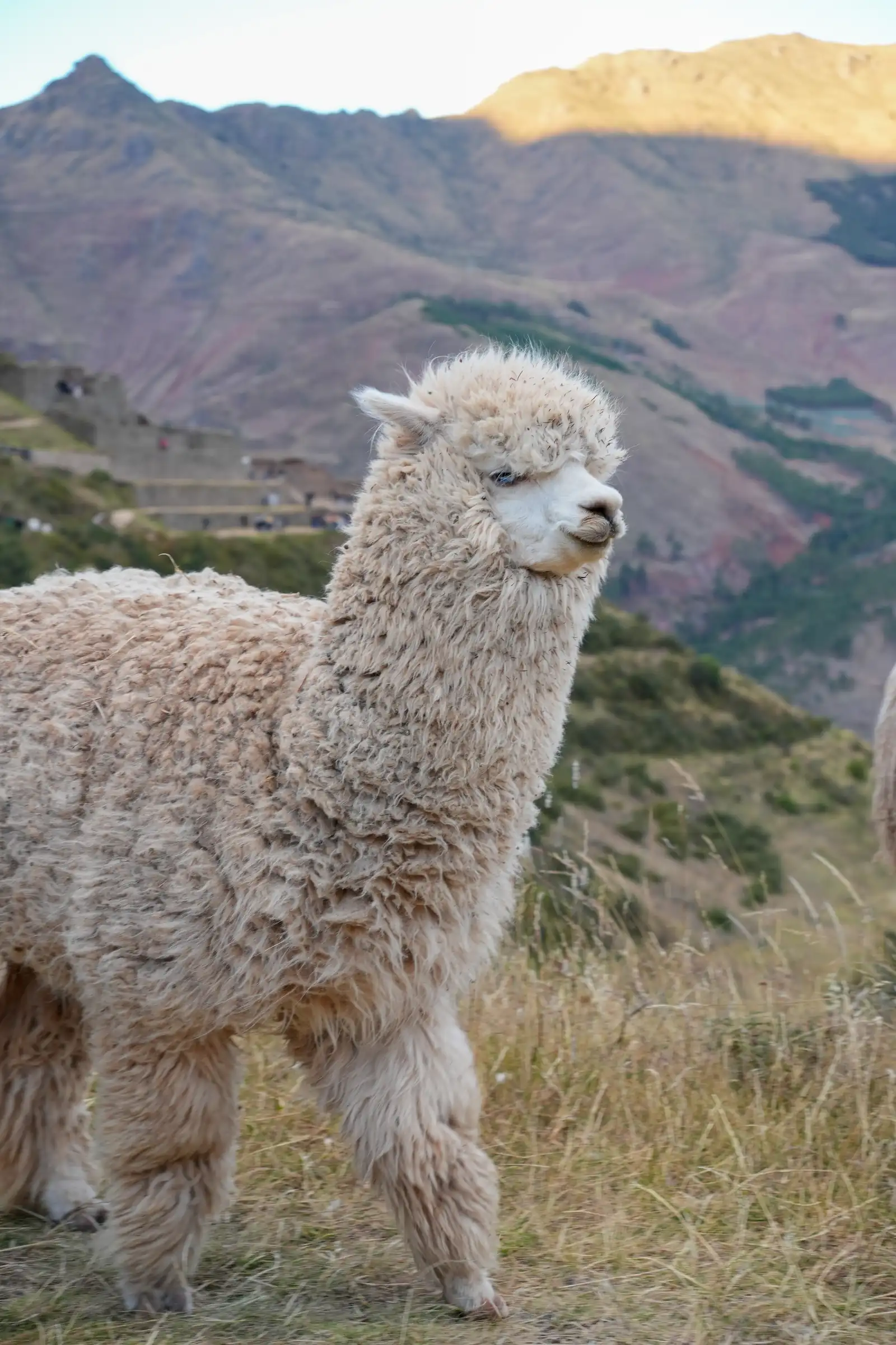 A unique view of Peru. artistique