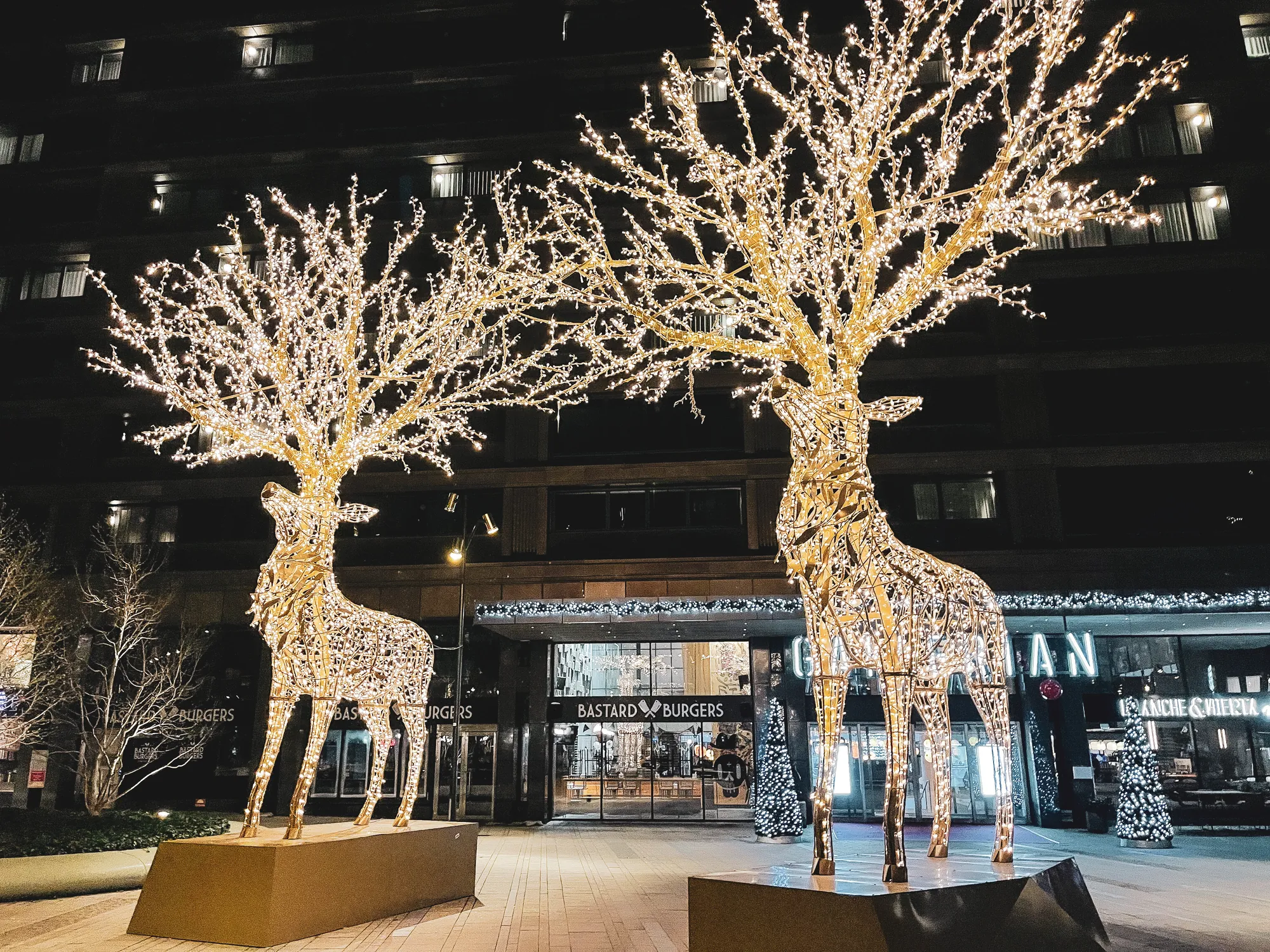 Photographie de Suede - 2