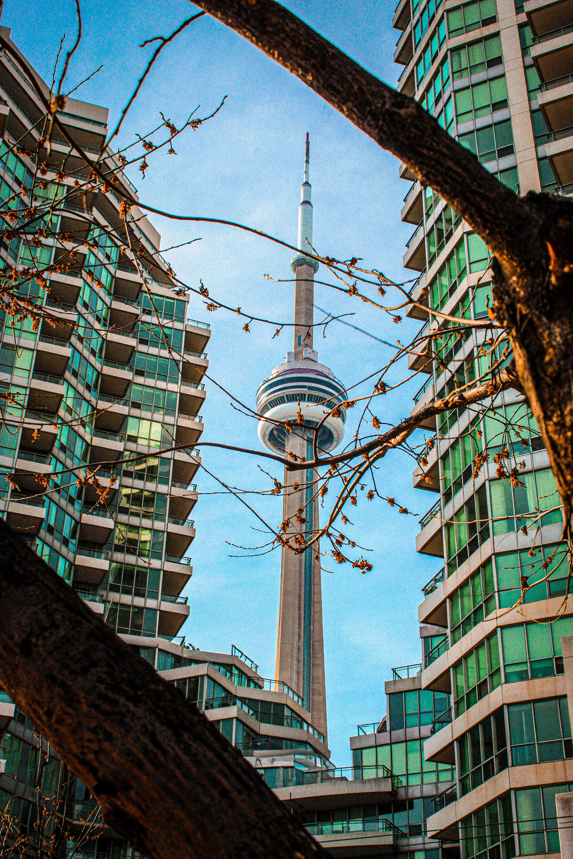 Photographie de Toronto - 12