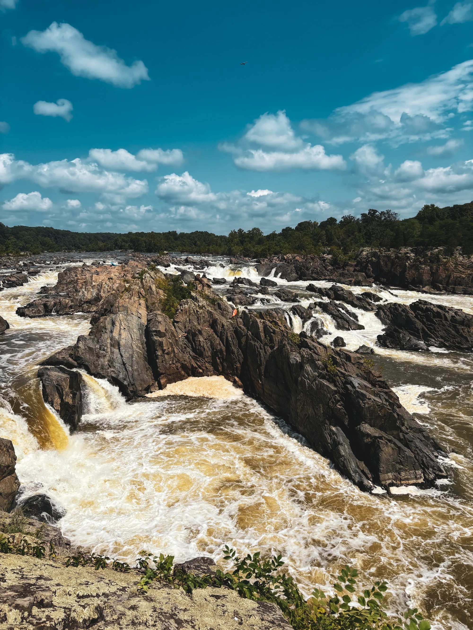 Photographie de Washington - 3